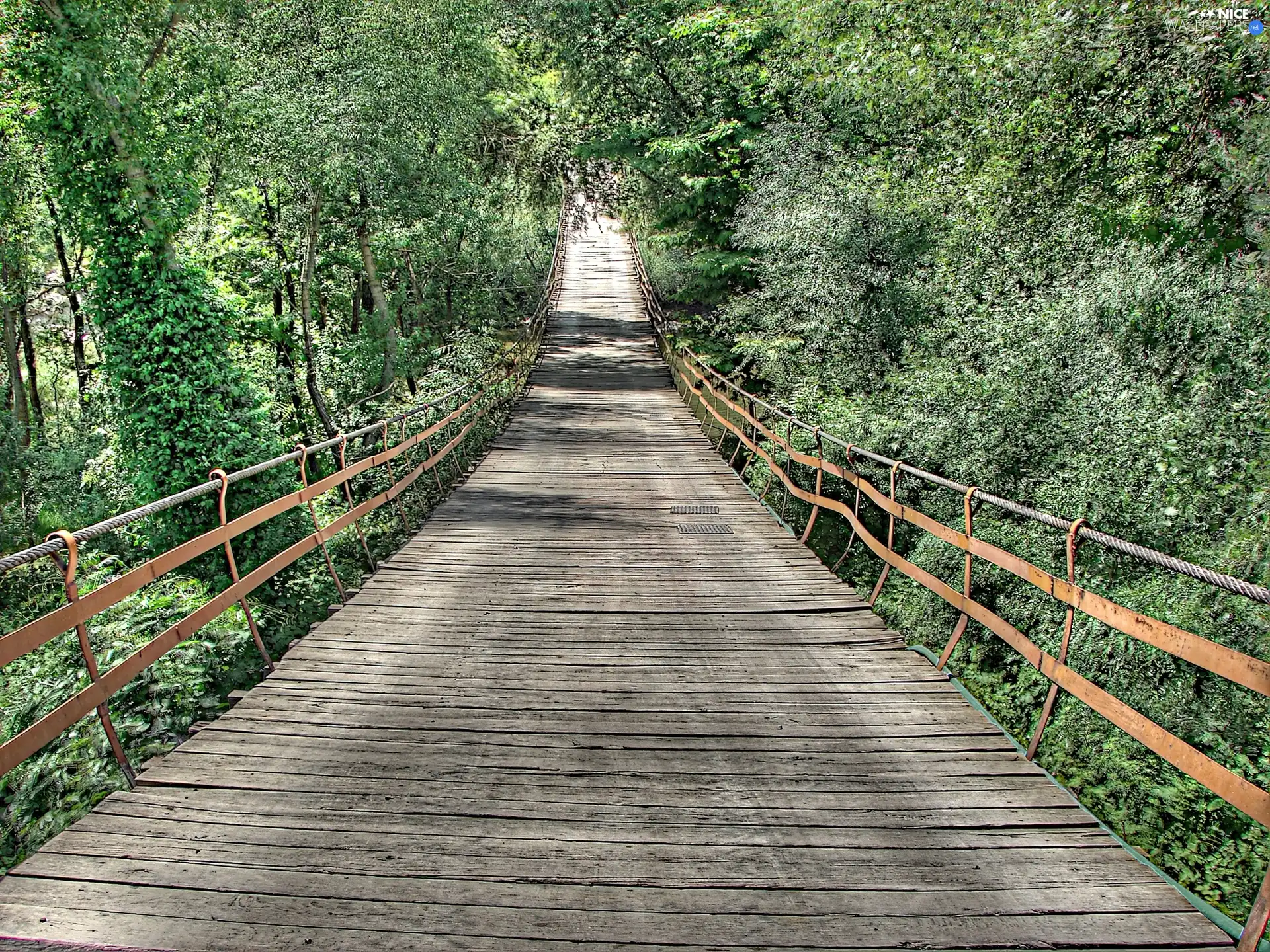 green, wooden, bridge