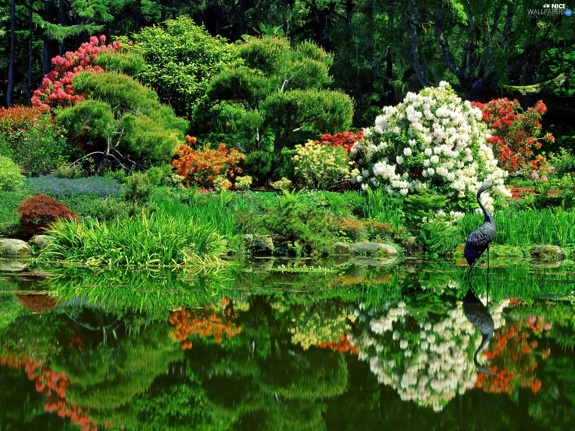 Flowers, green, heron, Park, birds, Pond, Garden, Spring