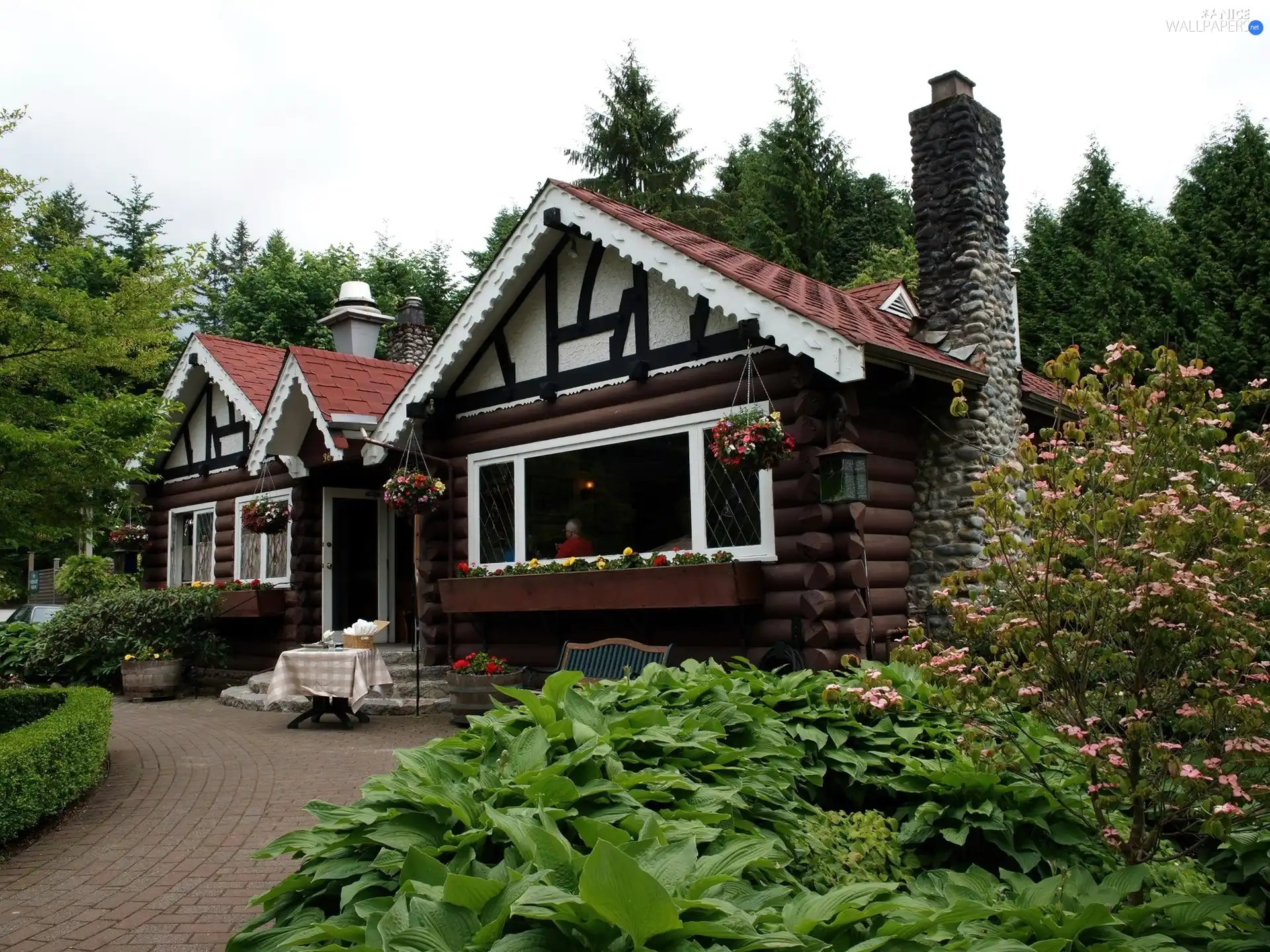 green, house, Garden