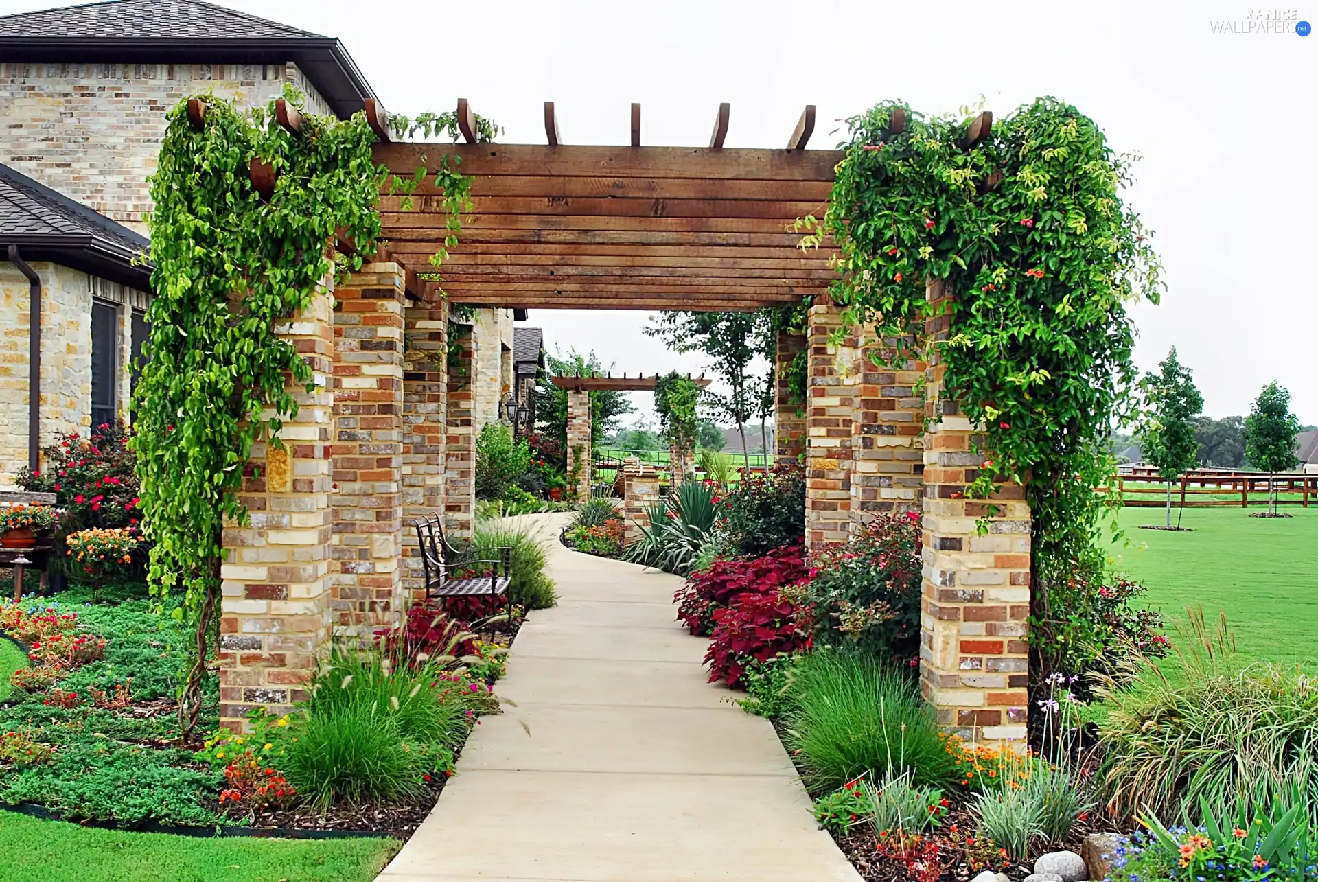 house, Plants, green, Pergolas