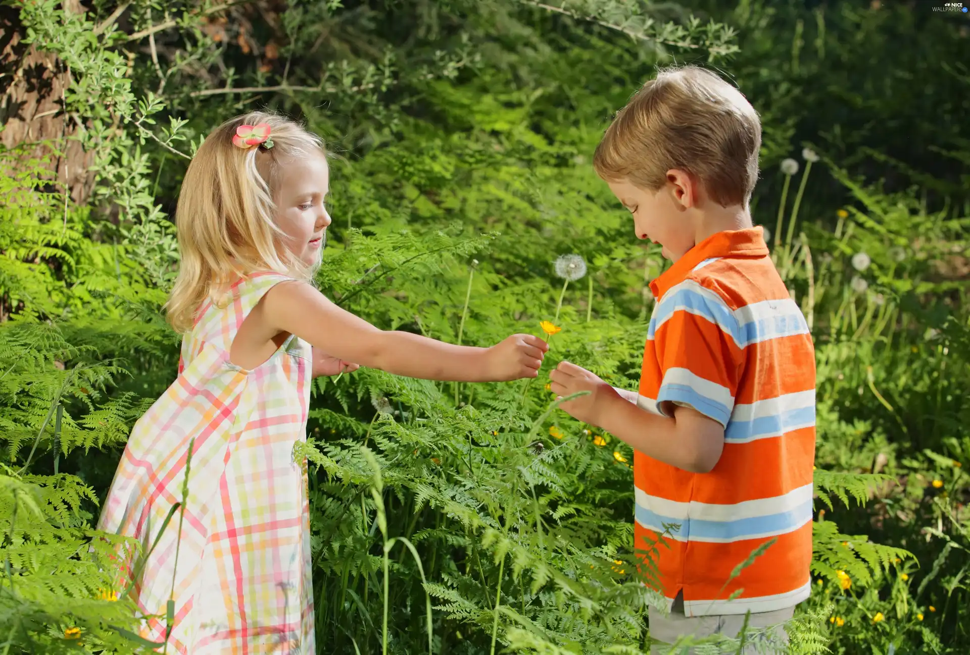 Kids, girl, green, boy