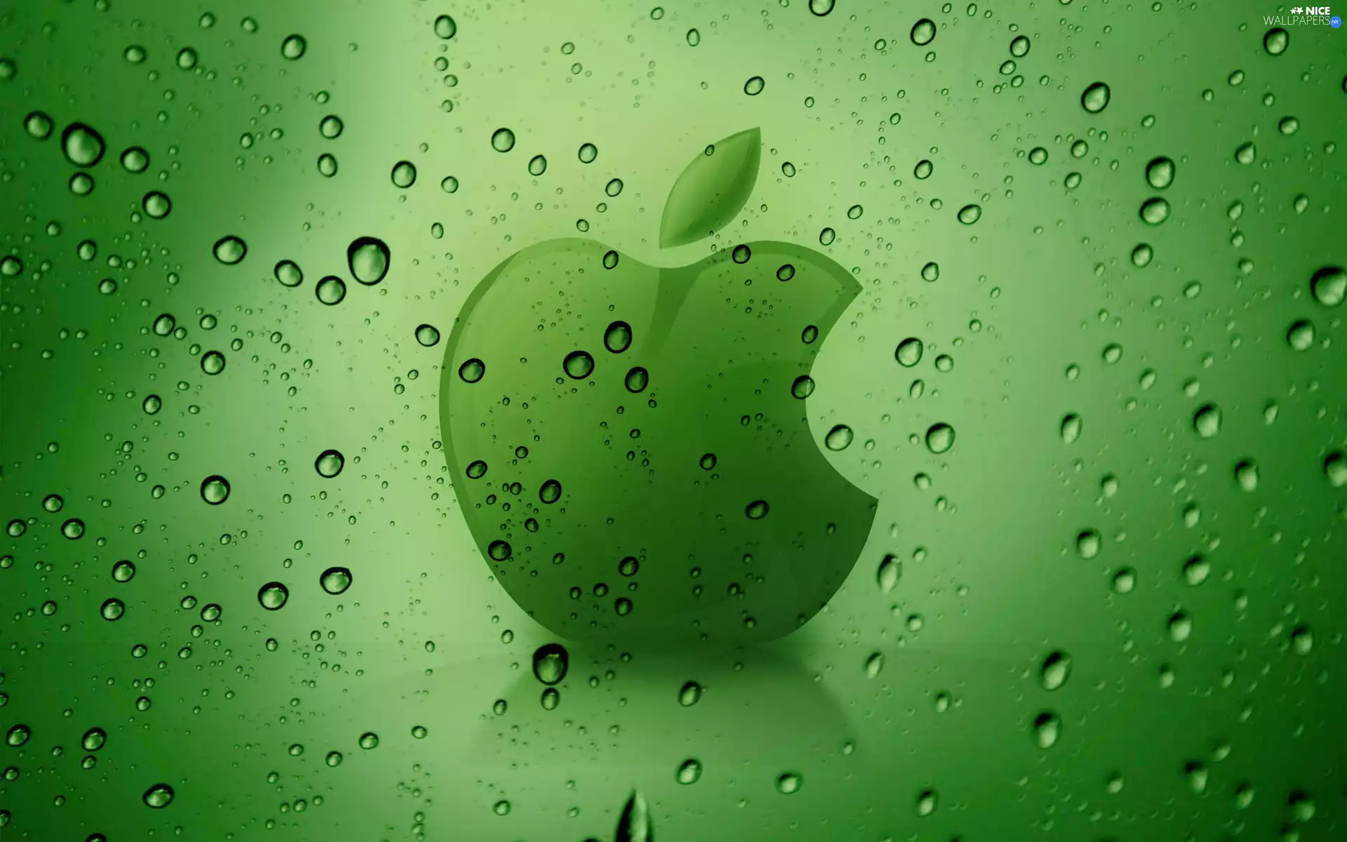 background, dew, Apple, green ones, logo