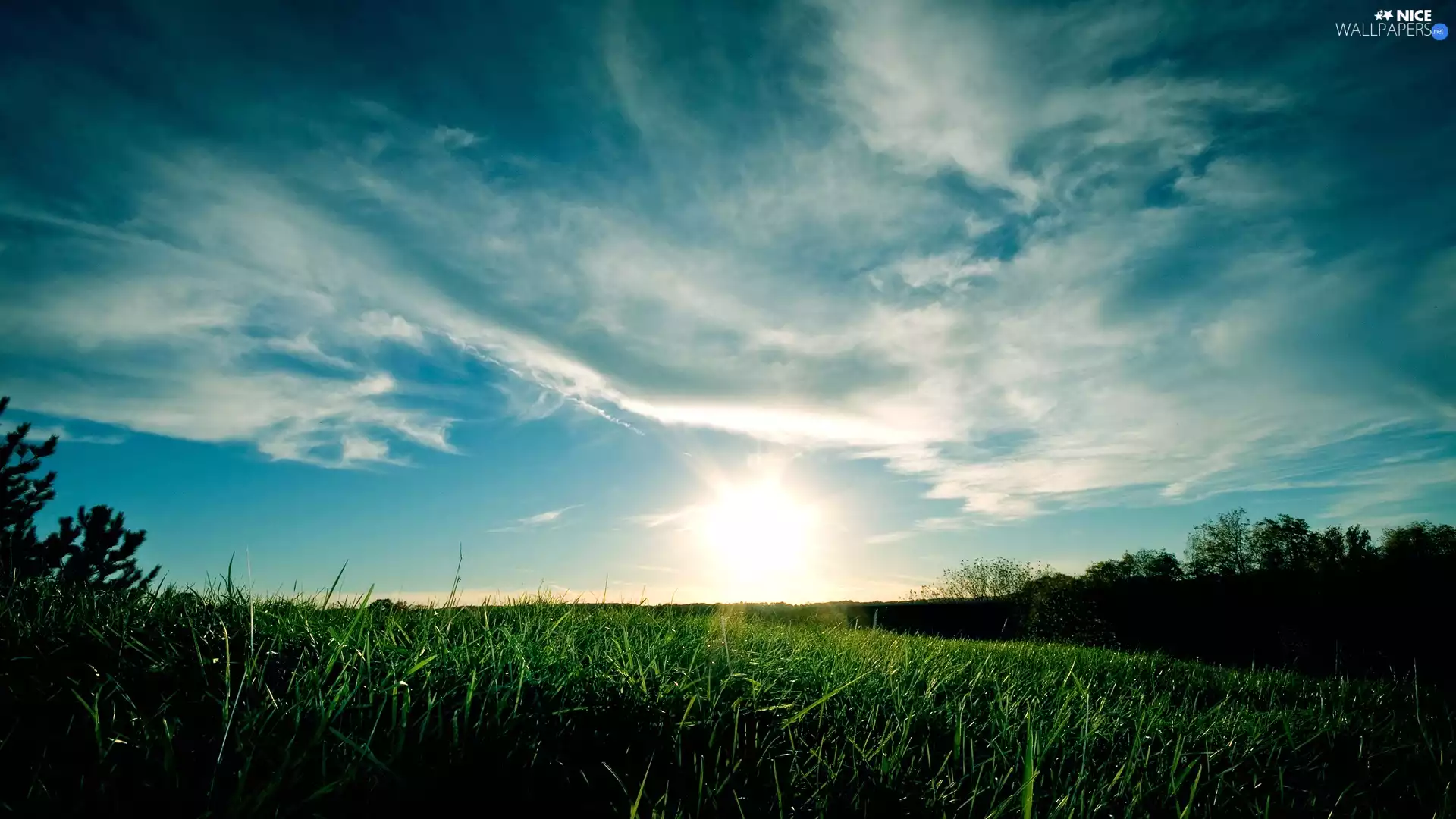 Meadow, grass, clouds, Green
