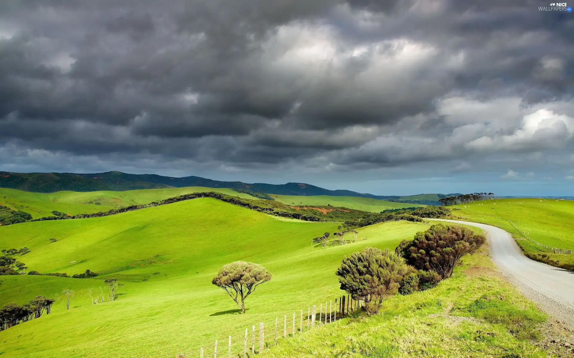 green ones, medows, dark, clouds, Way