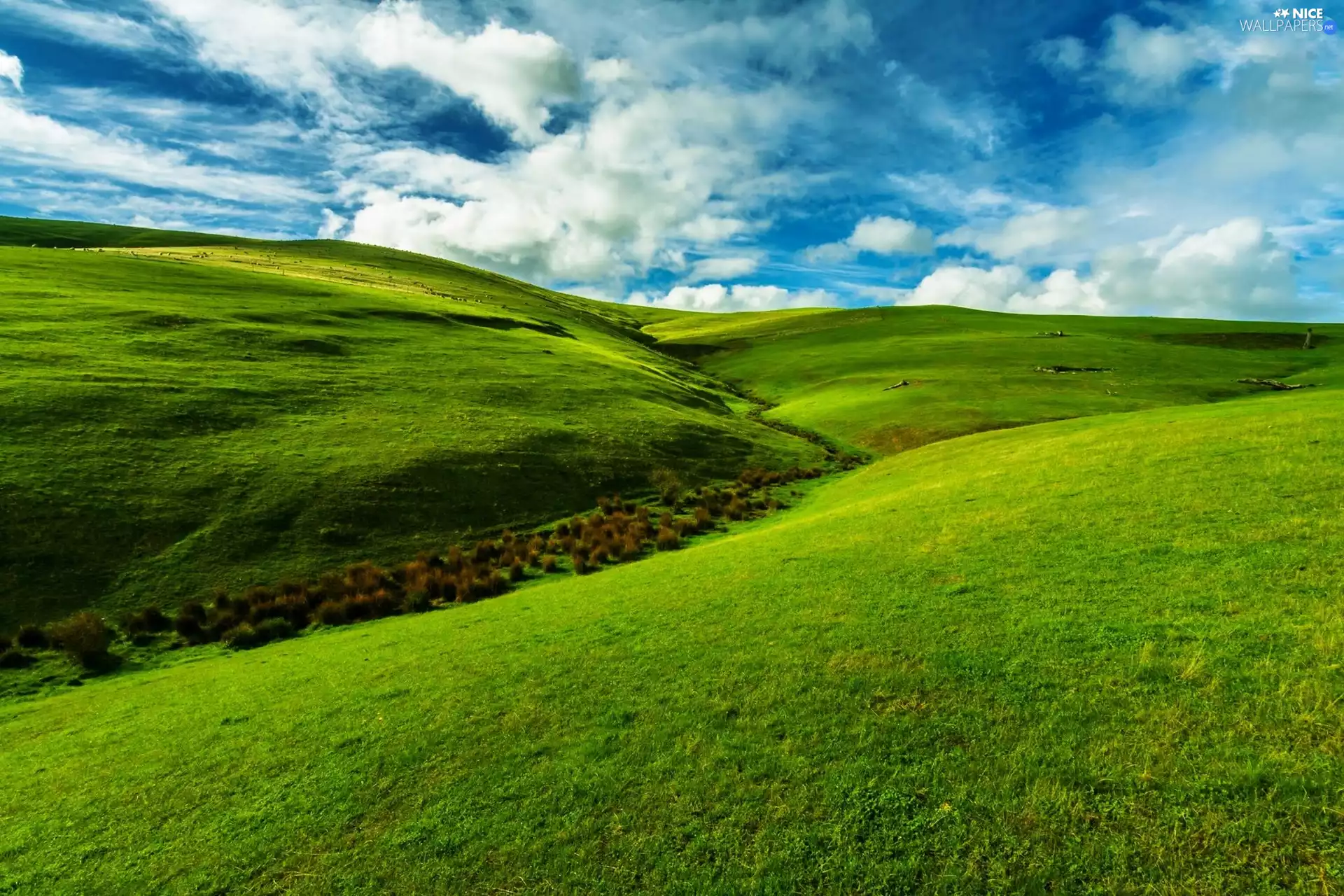 Sky, green ones, The Hills