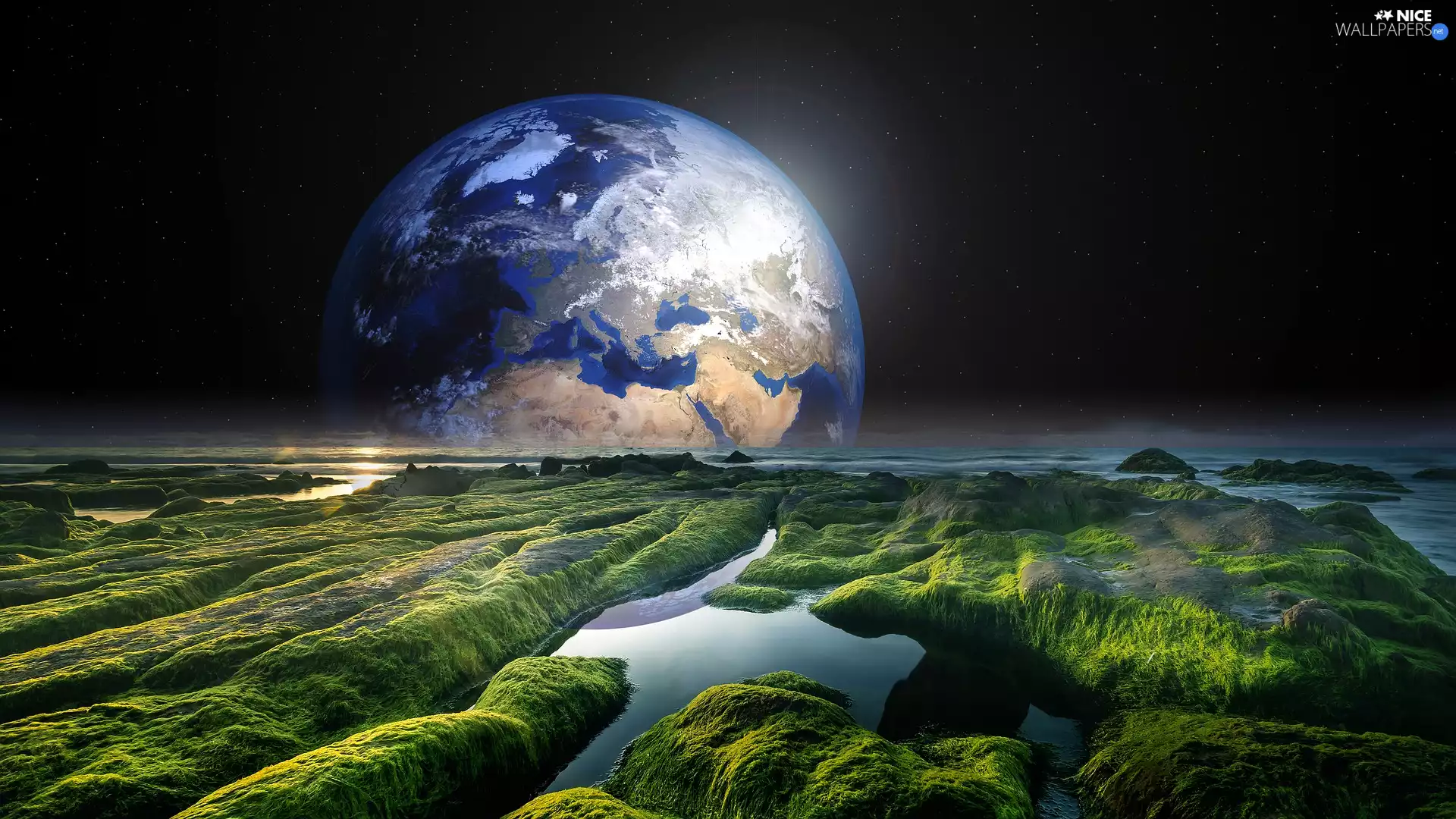 land, water, photomontage, rocks, VEGETATION, Planet, Universe, Green