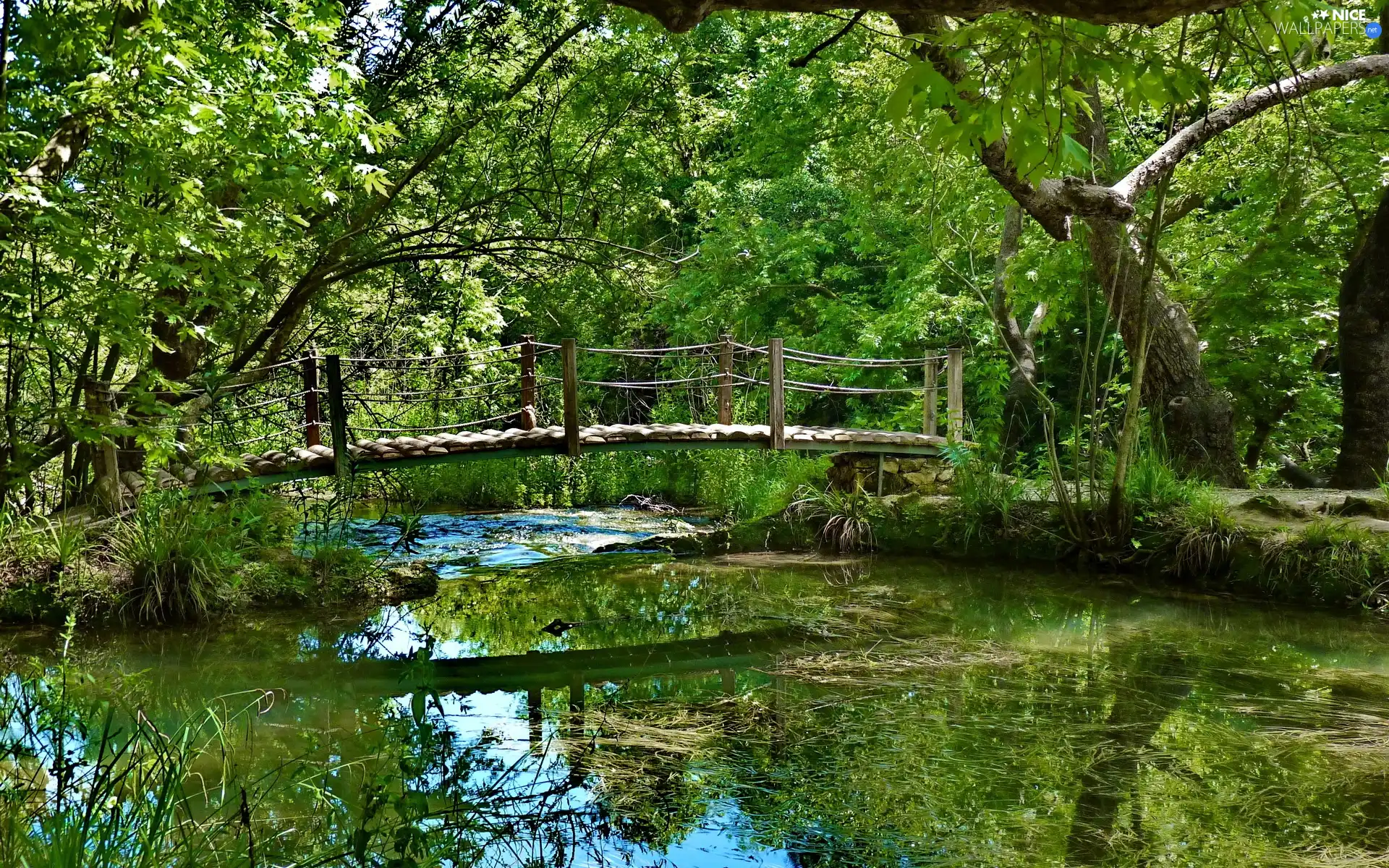 Park, bridges, green, Pond - car