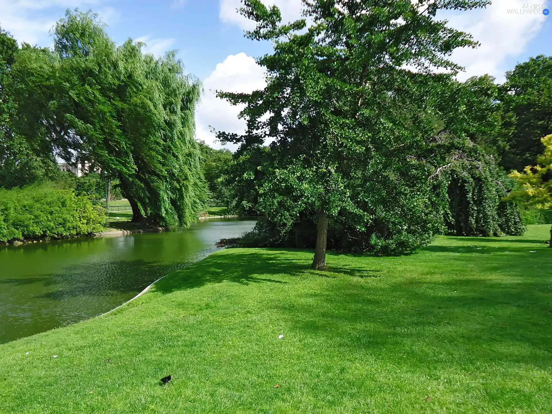 green, Park, River