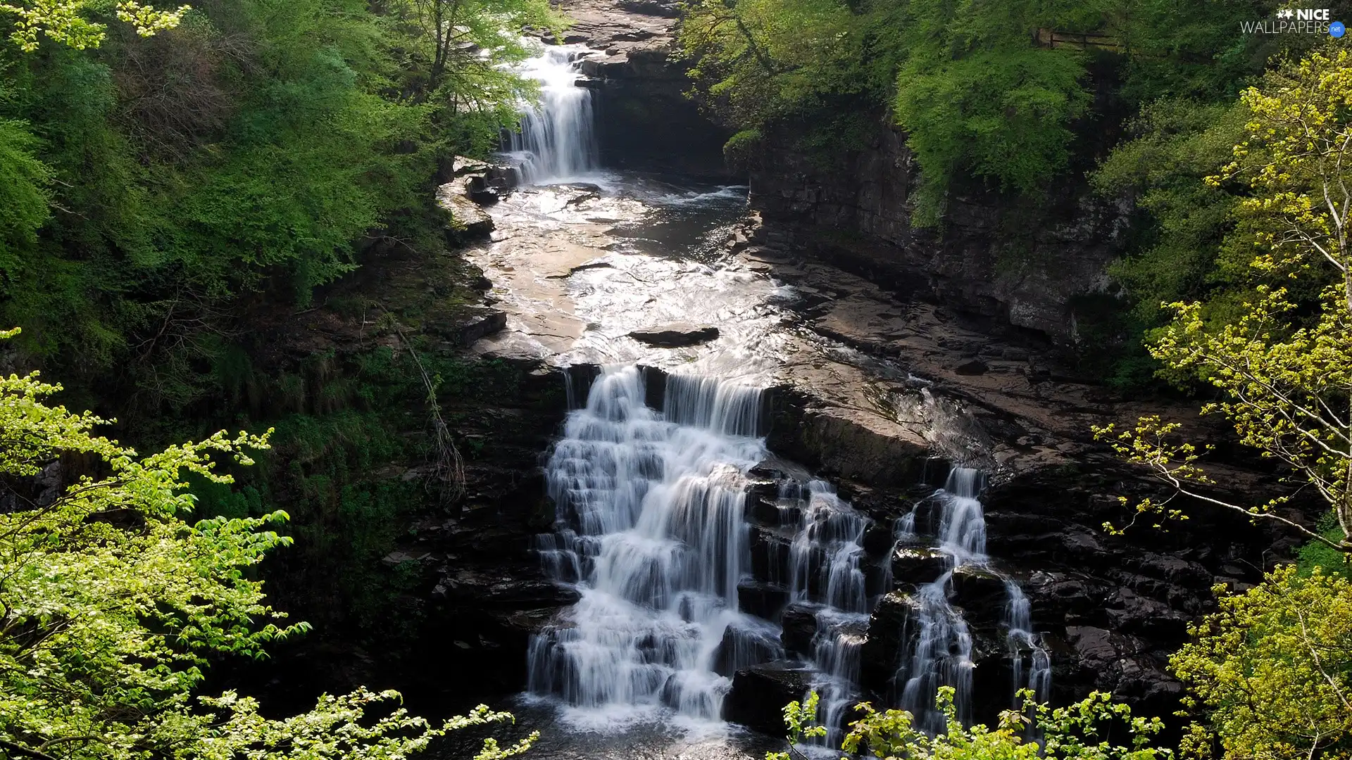 green, waterfall, River