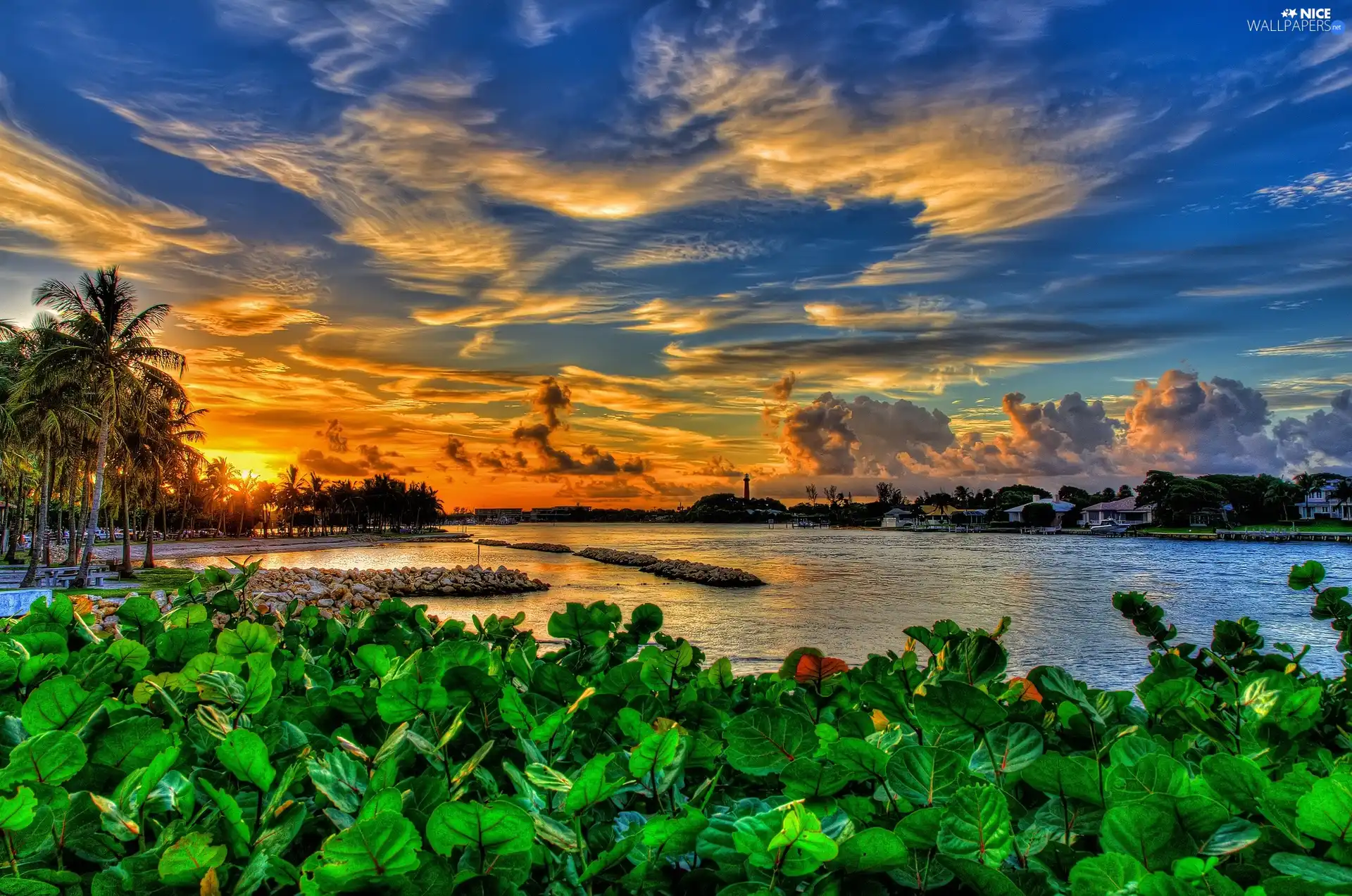 sea, Great Sunsets, green, clouds