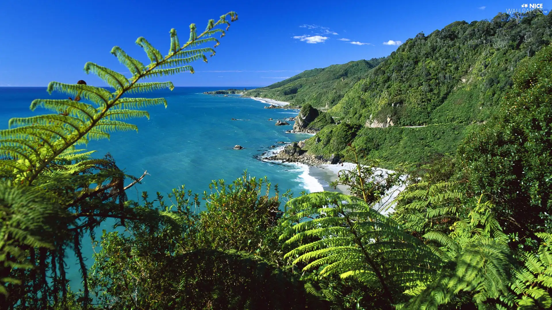New Zeland, Sea Mountain, green