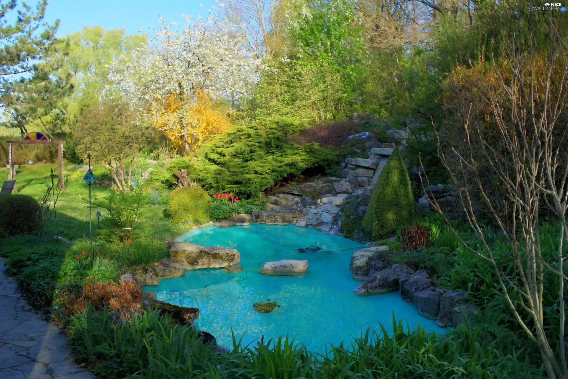 green, Garden, water