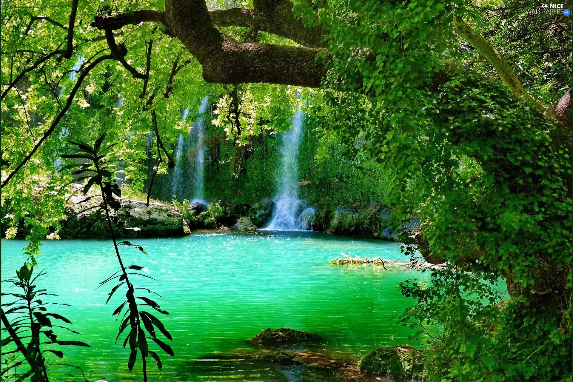 waterfall, VEGETATION, green, woods