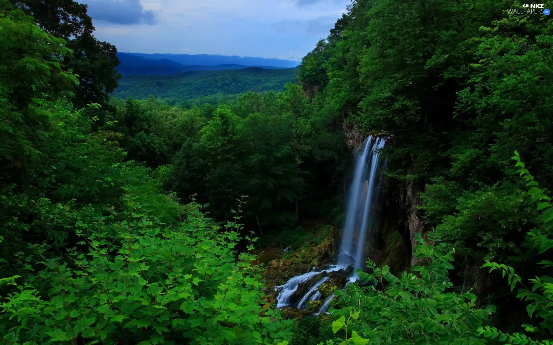 waterfall, viewes, green, trees