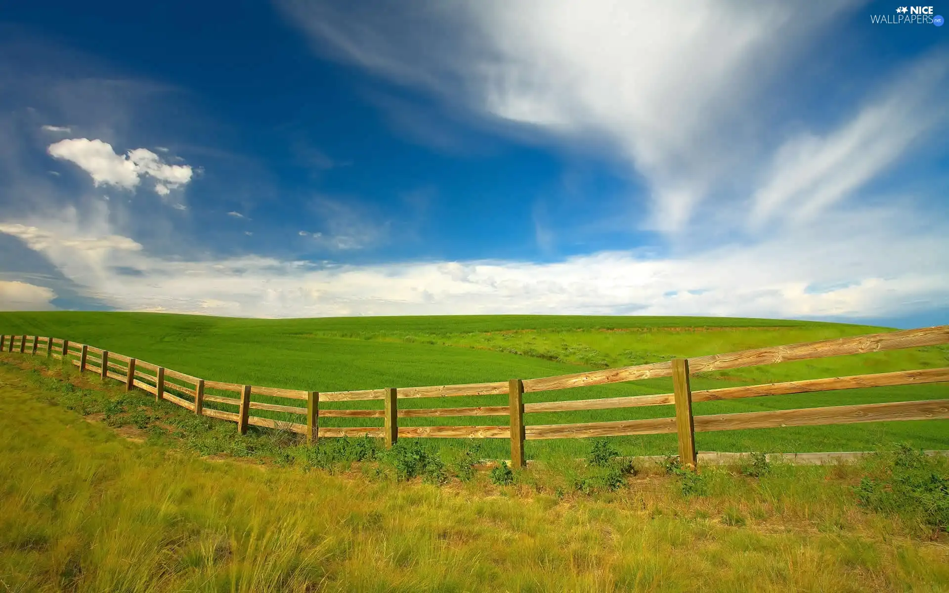 green ones, Spring, wooden, Fance, field, Extensive