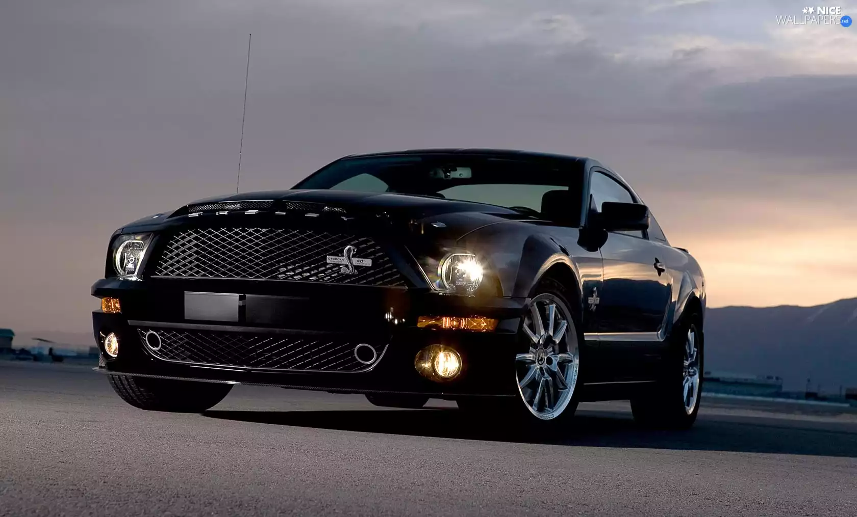 Black, Ford Shelby GT 500 KR