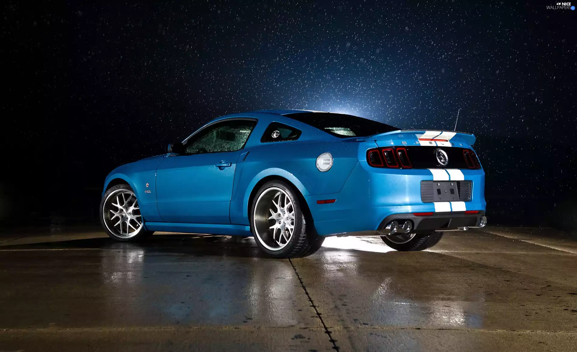 Cobra, Ford Shelby, GT500