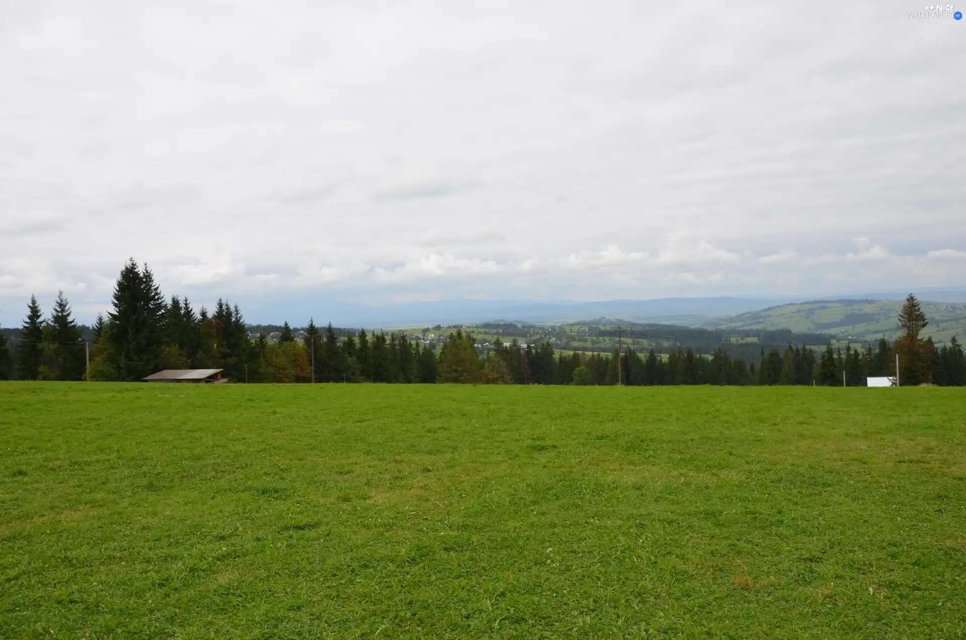 car in the meadow, Zakopane, gubalowka