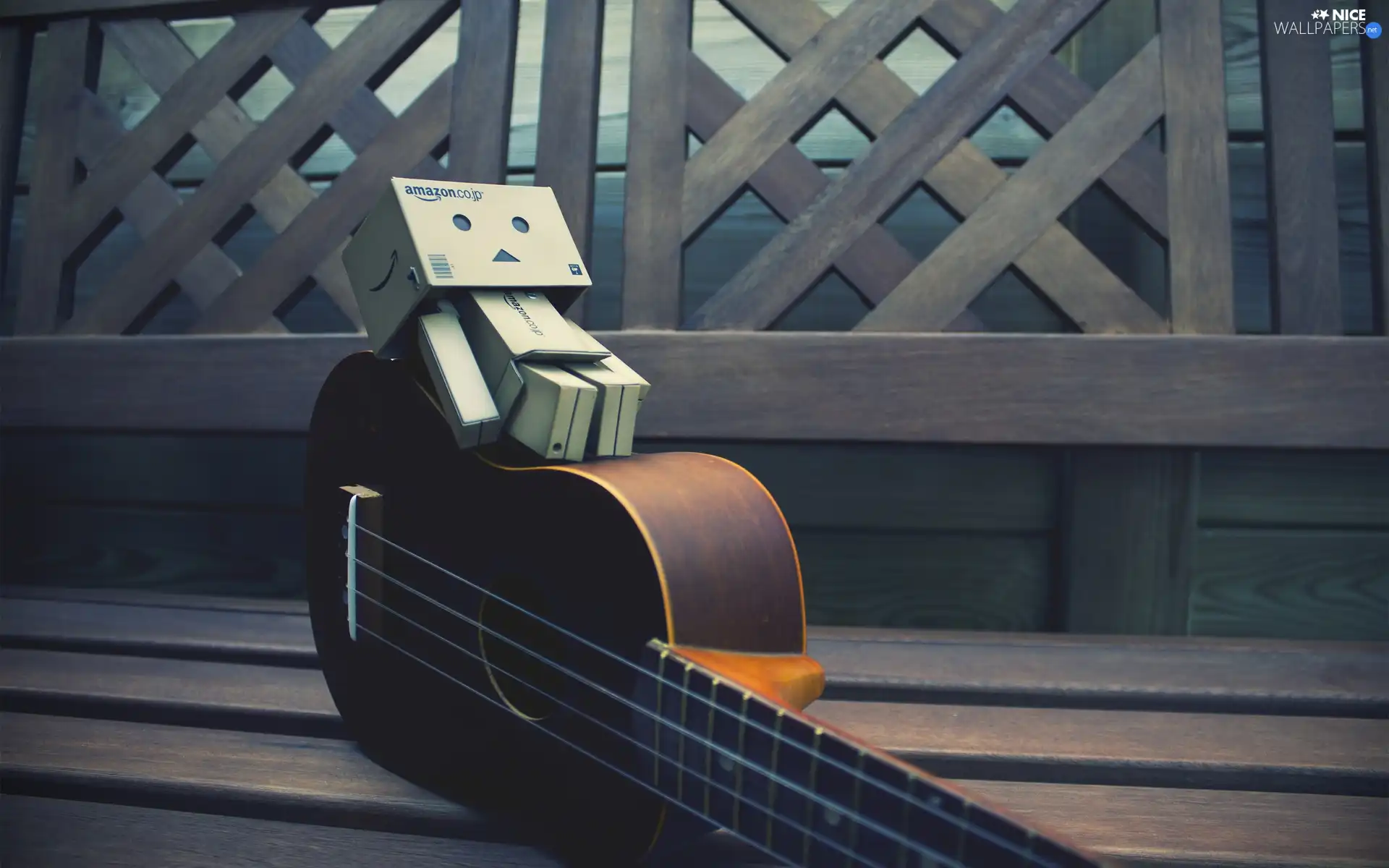 Danbo, Guitar