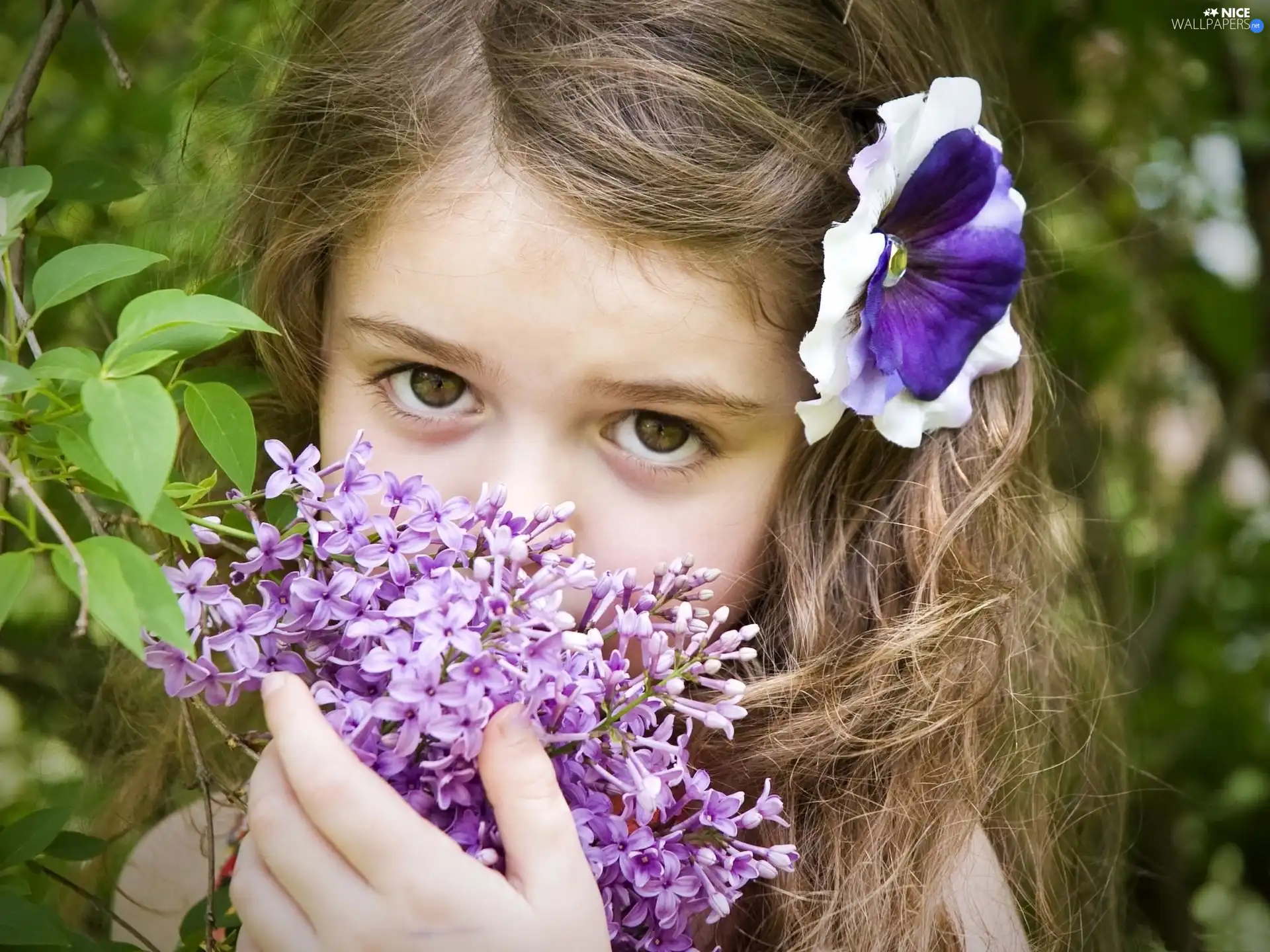 hair, without, Colourfull Flowers, We, girl
