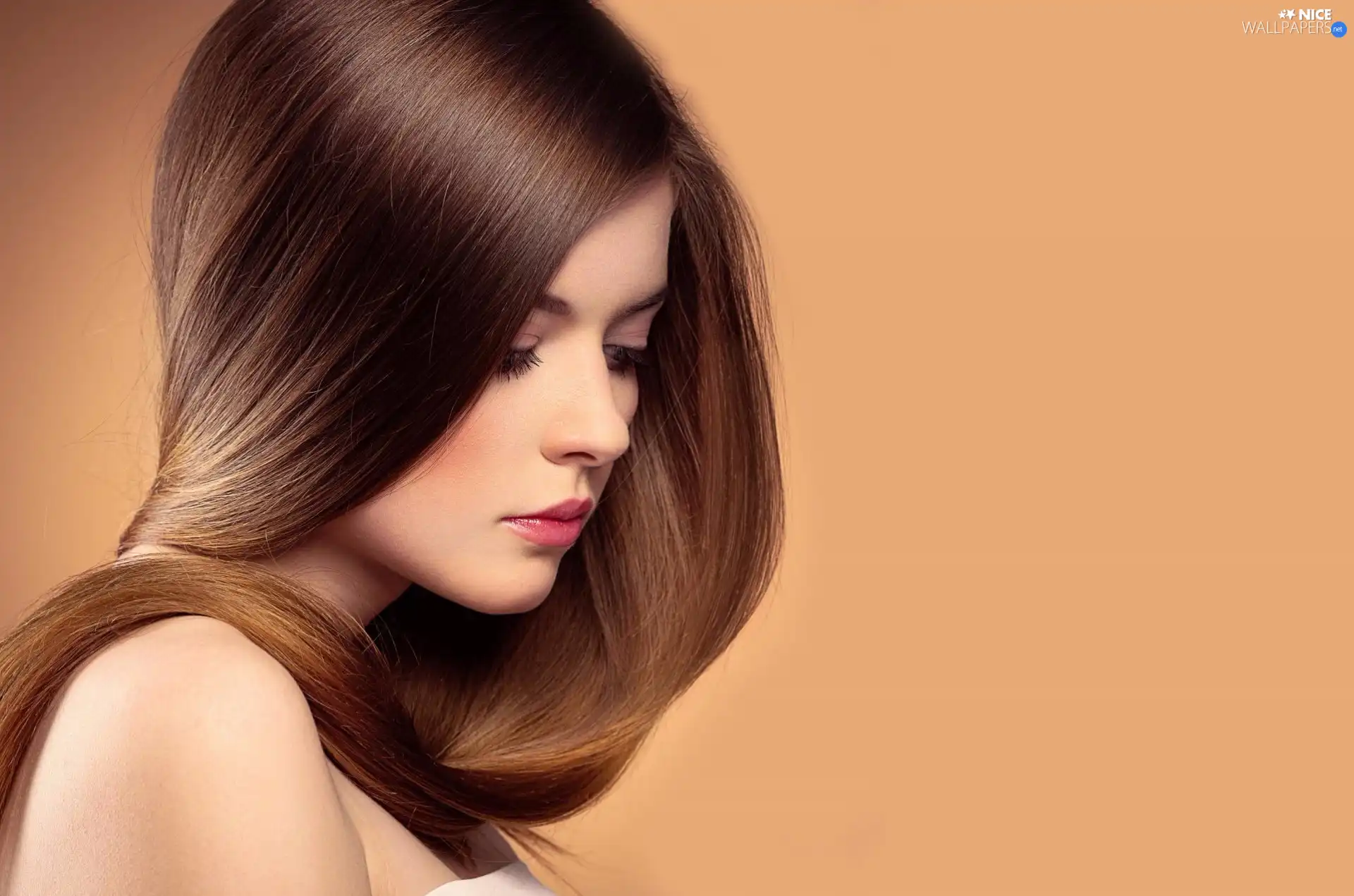Hair, brunette, Longs