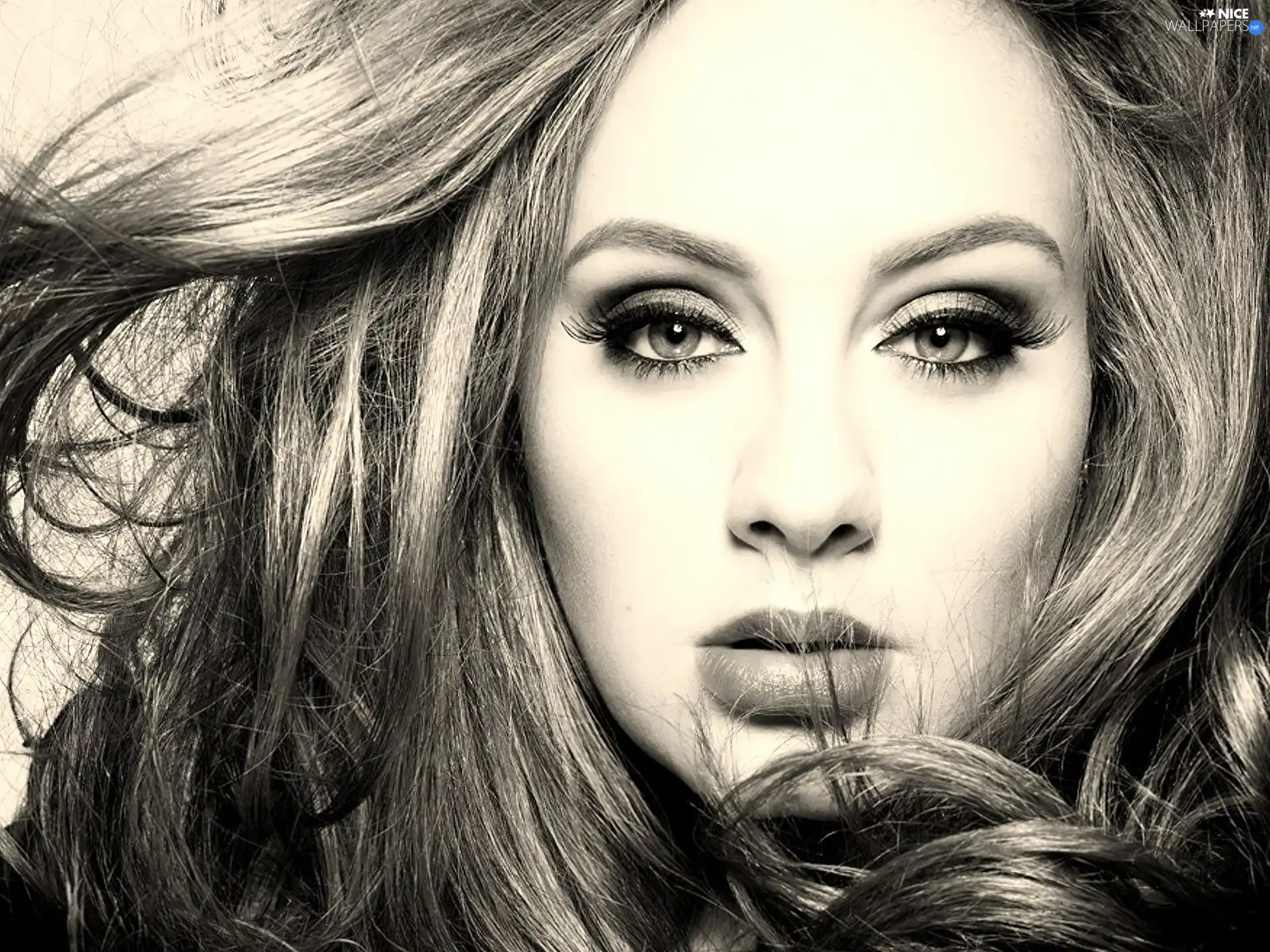 songster, dispelled, Hair, Adele