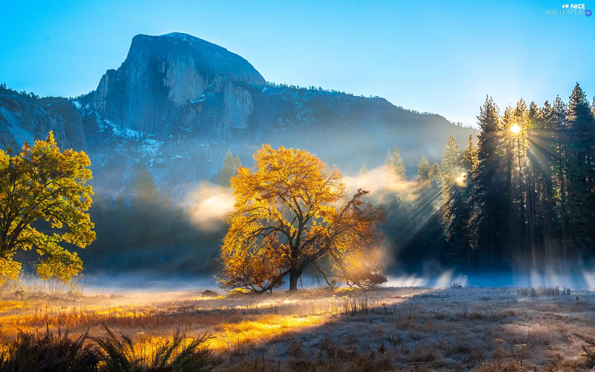 California, The United States, Yosemite National Park, Half Dome Mountain, viewes, Fog, Mountains, trees, autumn