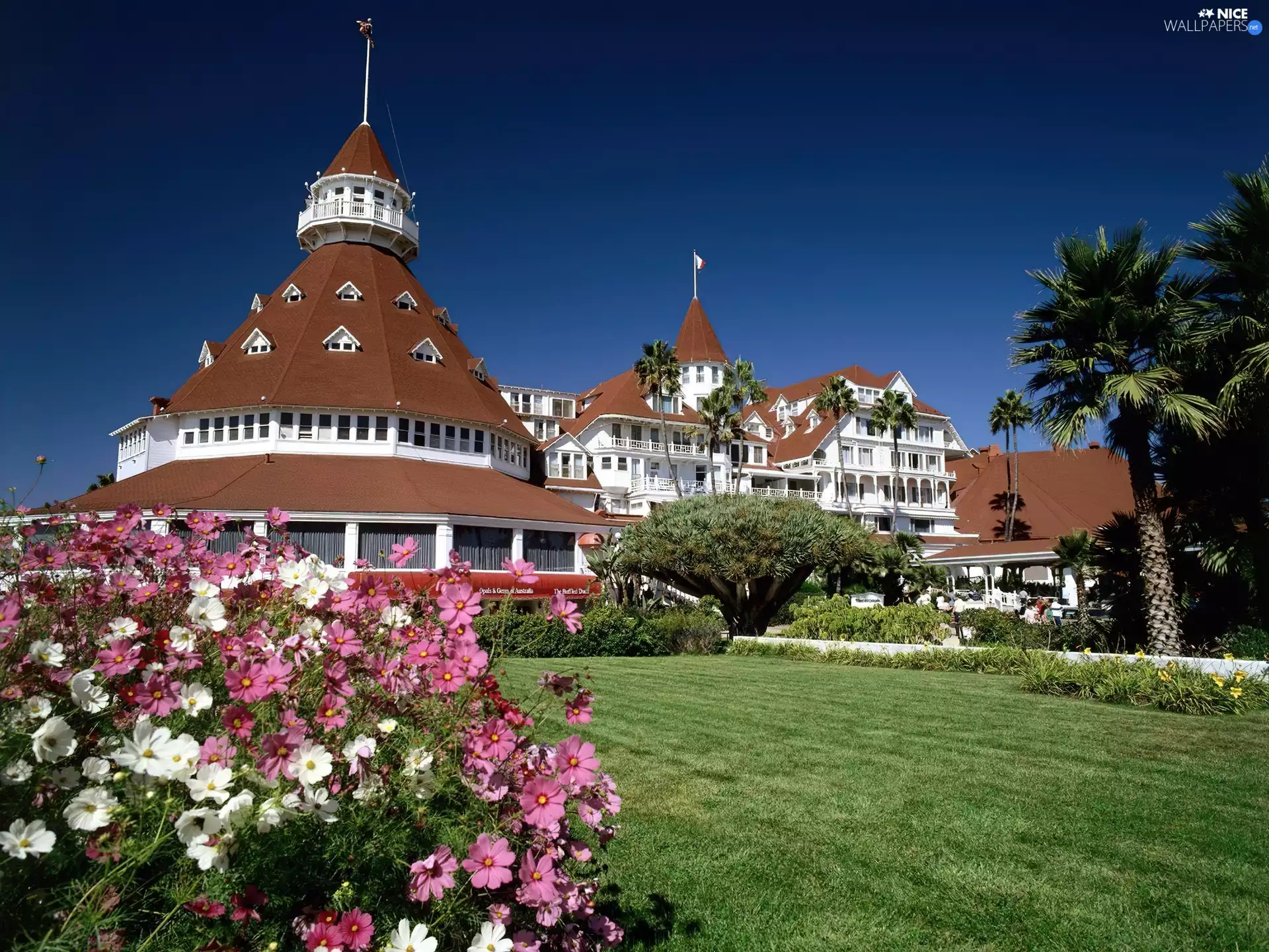 Hotel hall, Flowers, Lawn, Coronado