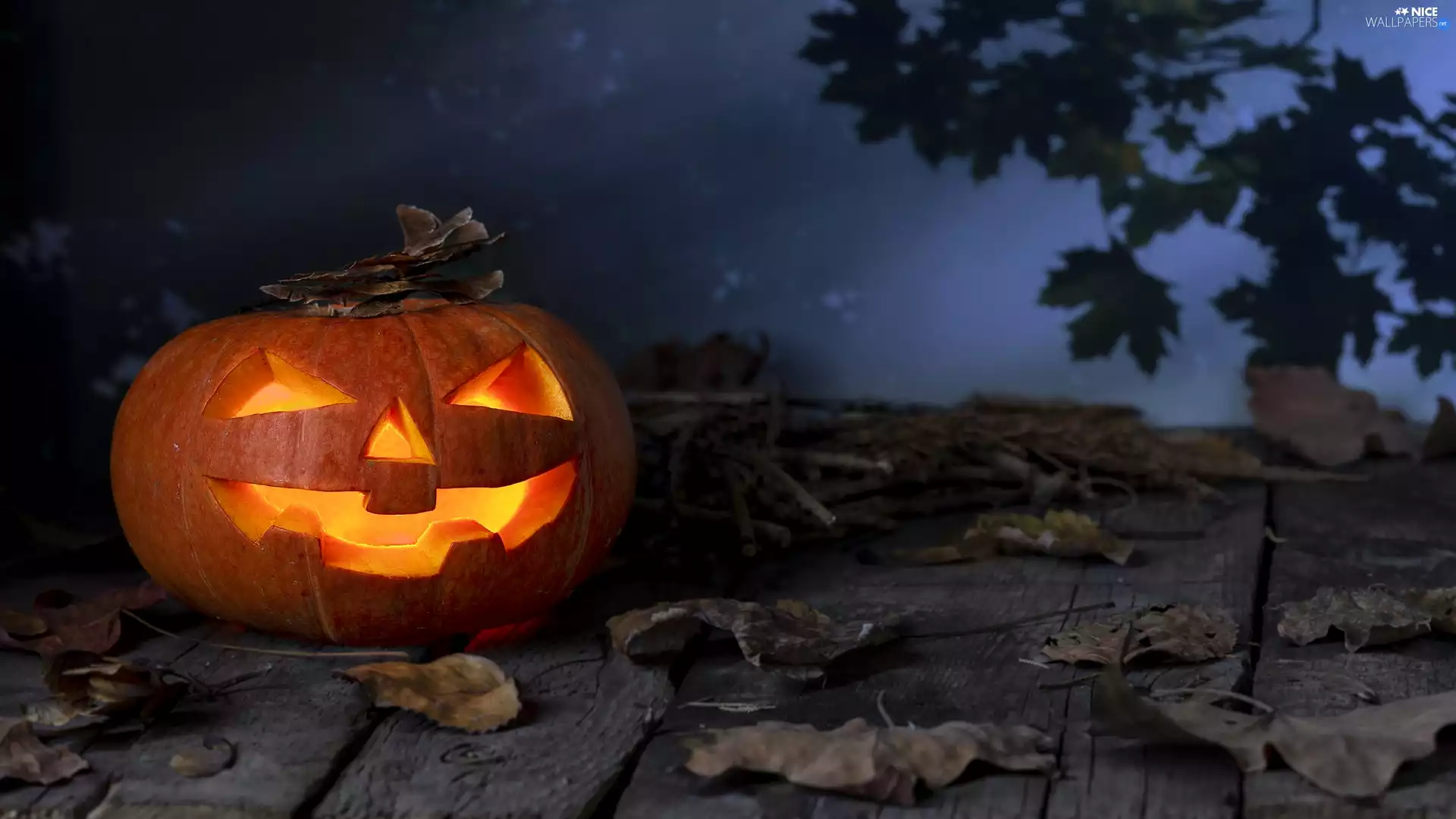 Night, halloween, boarding, Leaf, pumpkin