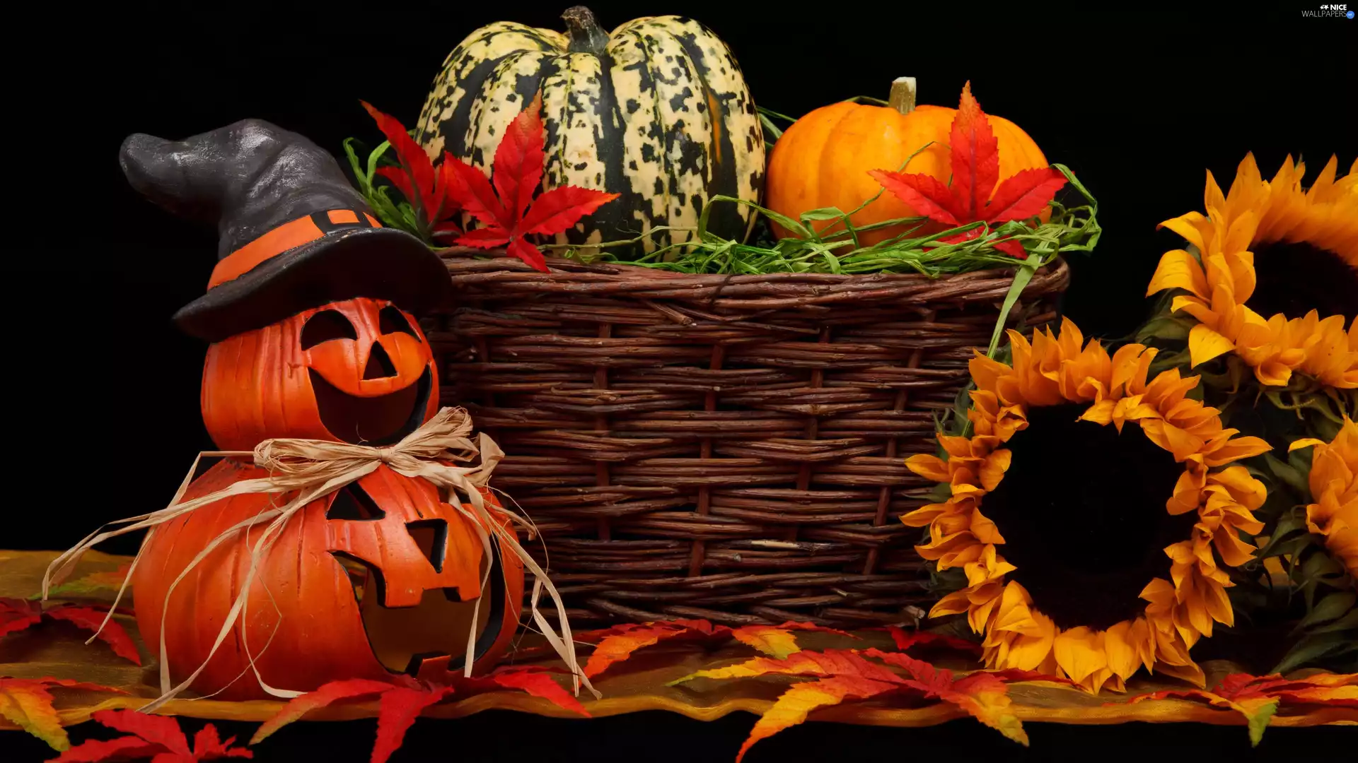basket, Nice sunflowers, halloween, pumpkin, composition