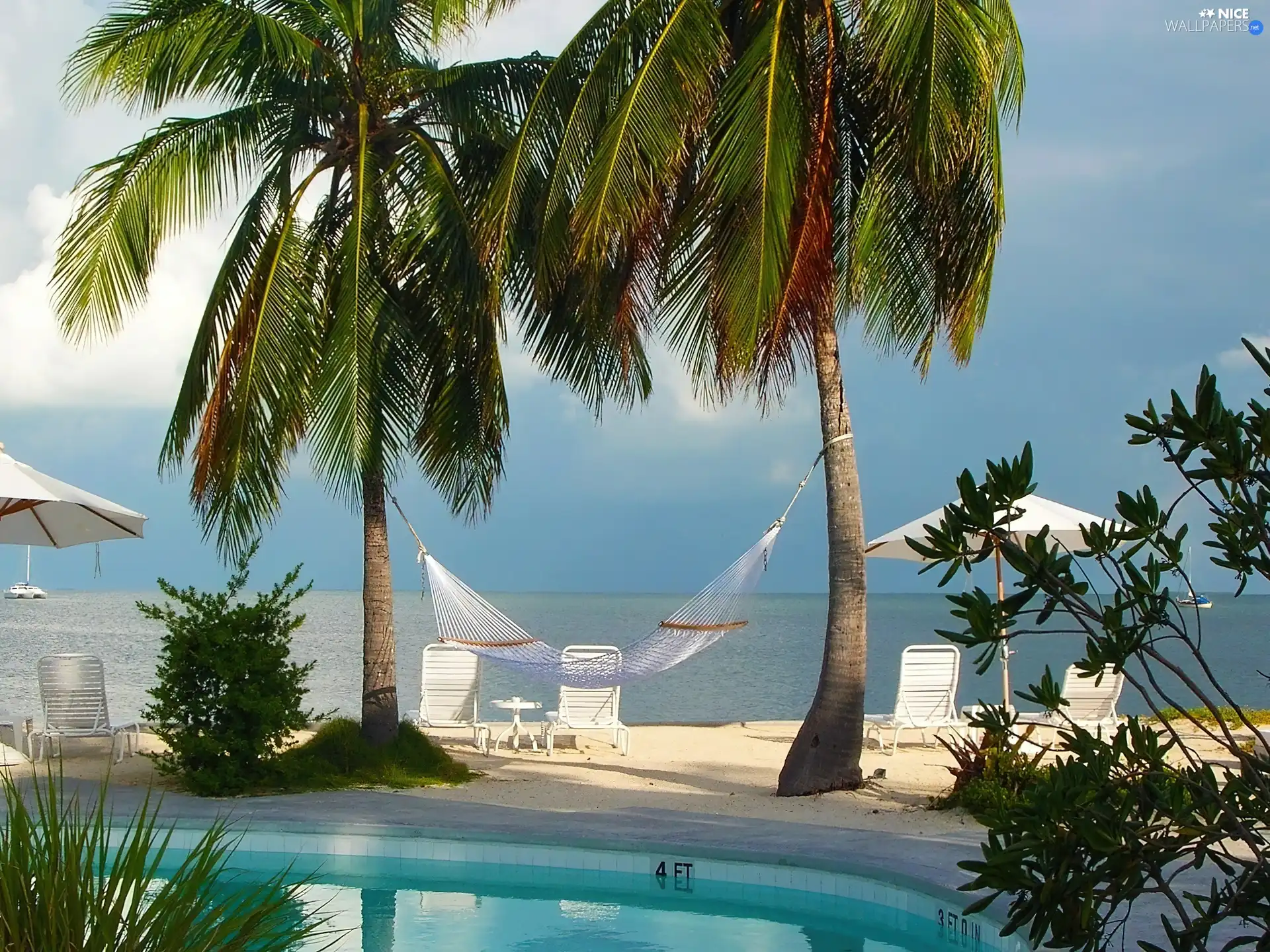 Hammock, Beaches, Palms