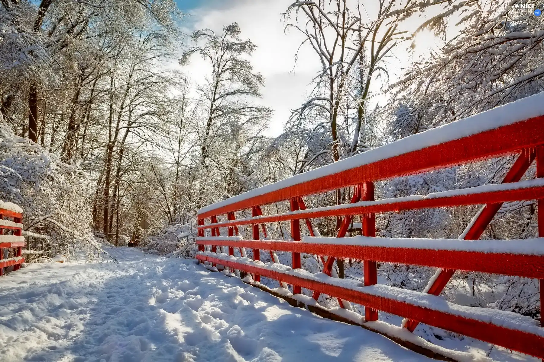 winter, Icy, hand-rail, bridge