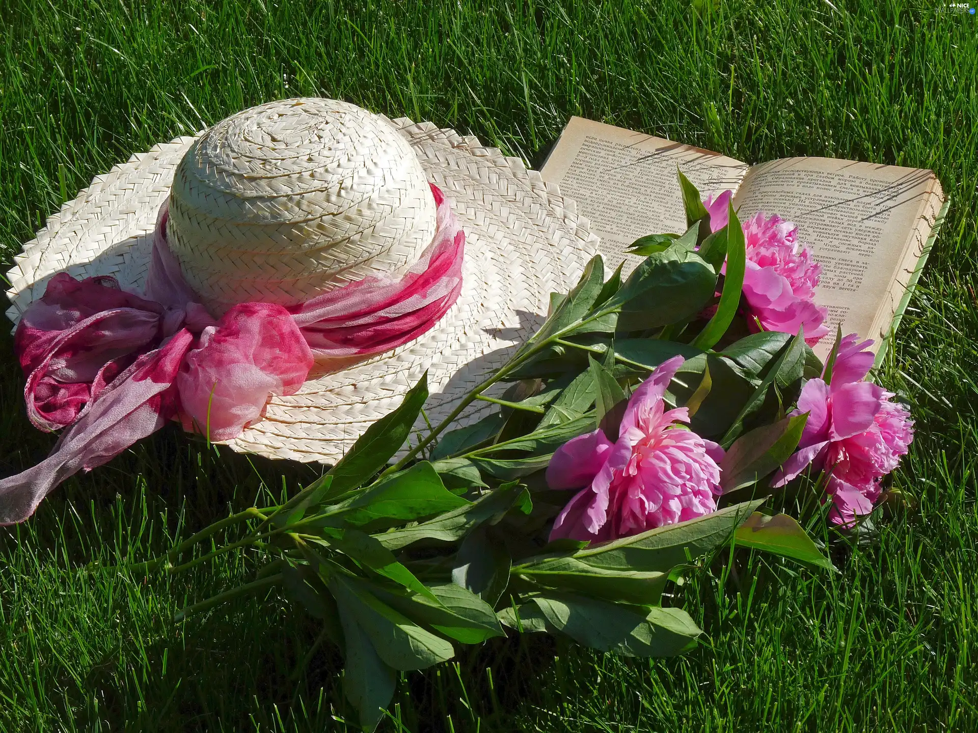 Hat, Peonies, Book