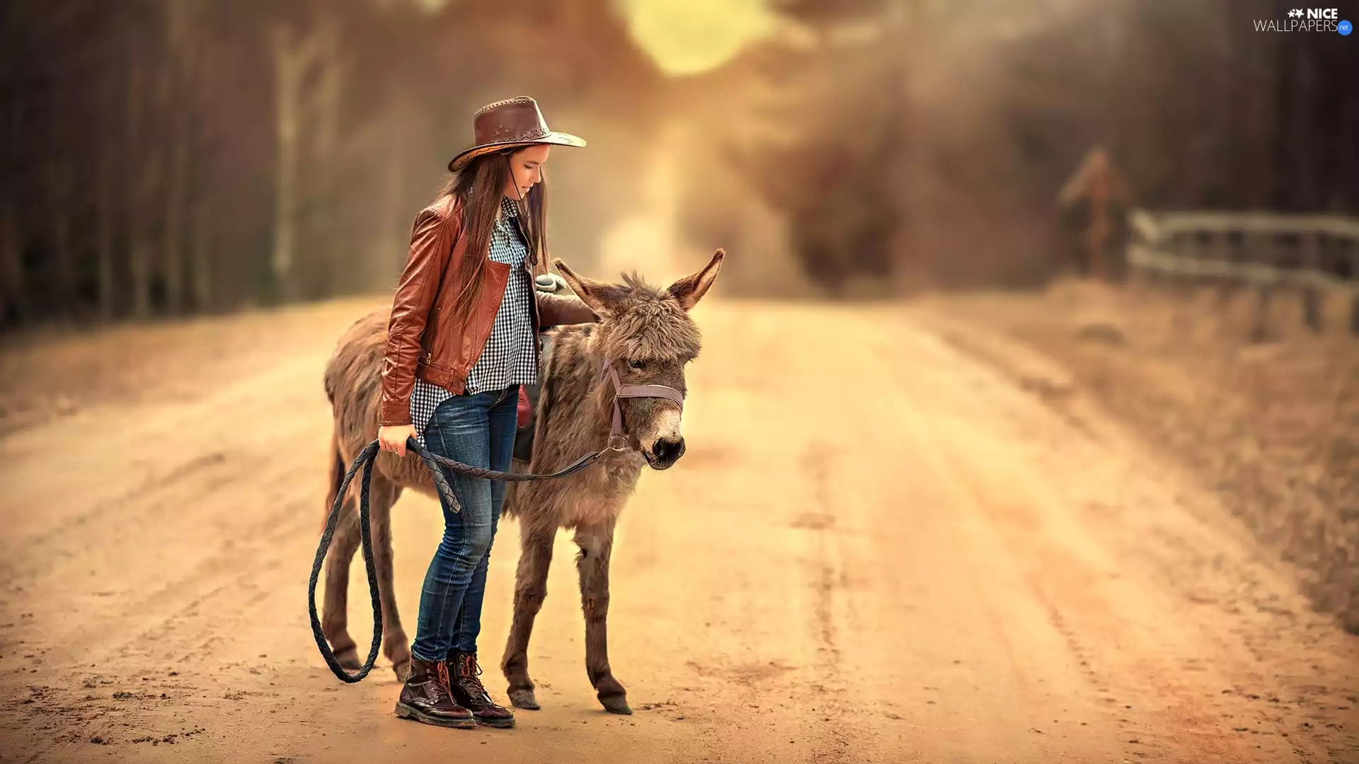 girl, donkey, Way, Hat