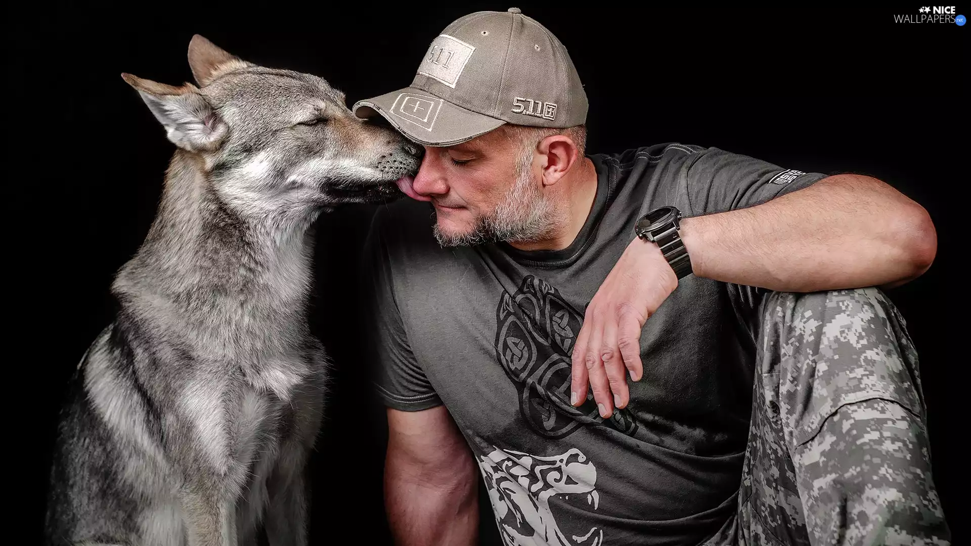 beard, a man, dog, Czechoslovakian Wolfdog, Watch, Hat