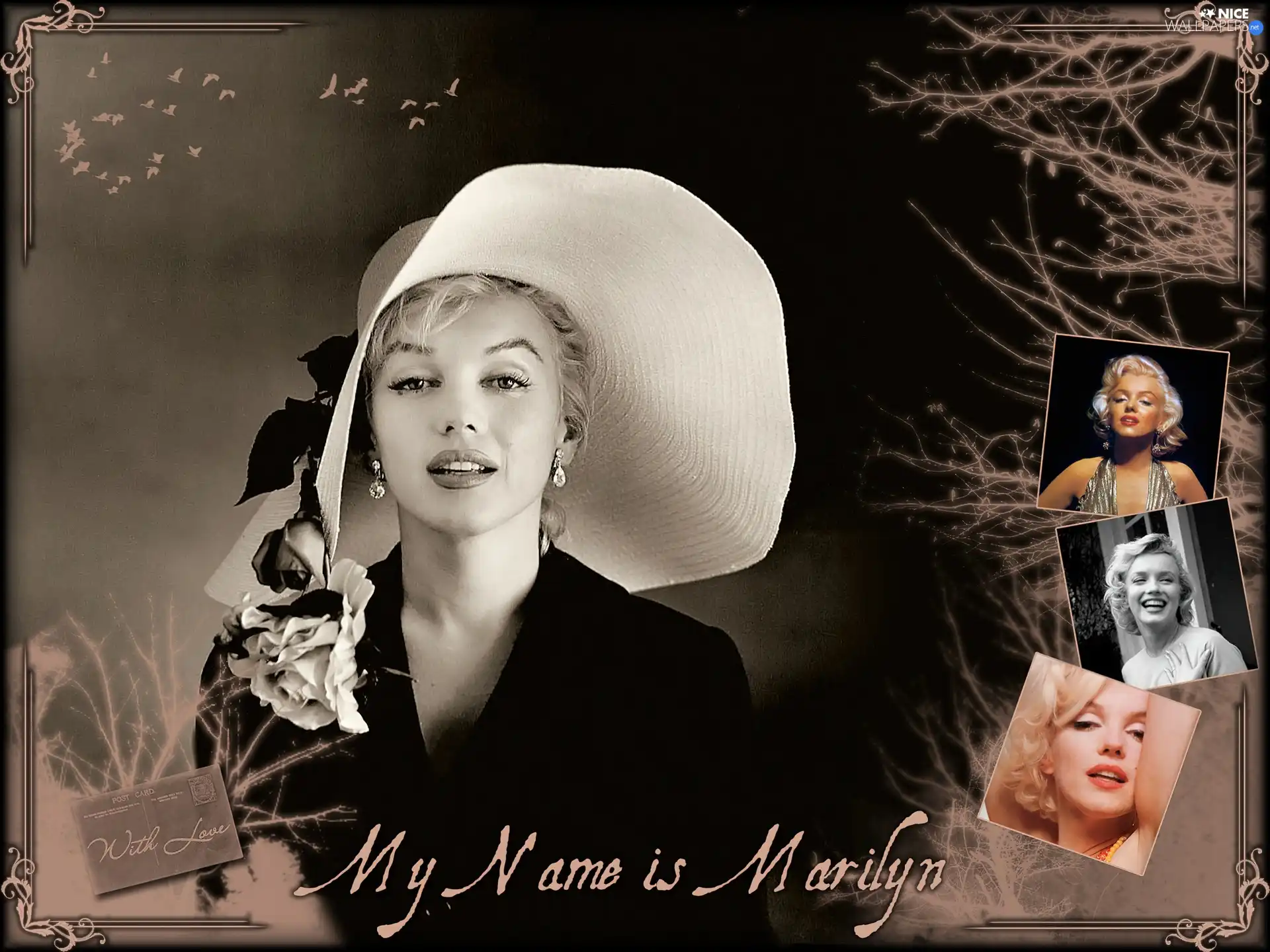 photos, Merlin Monroe, Hat