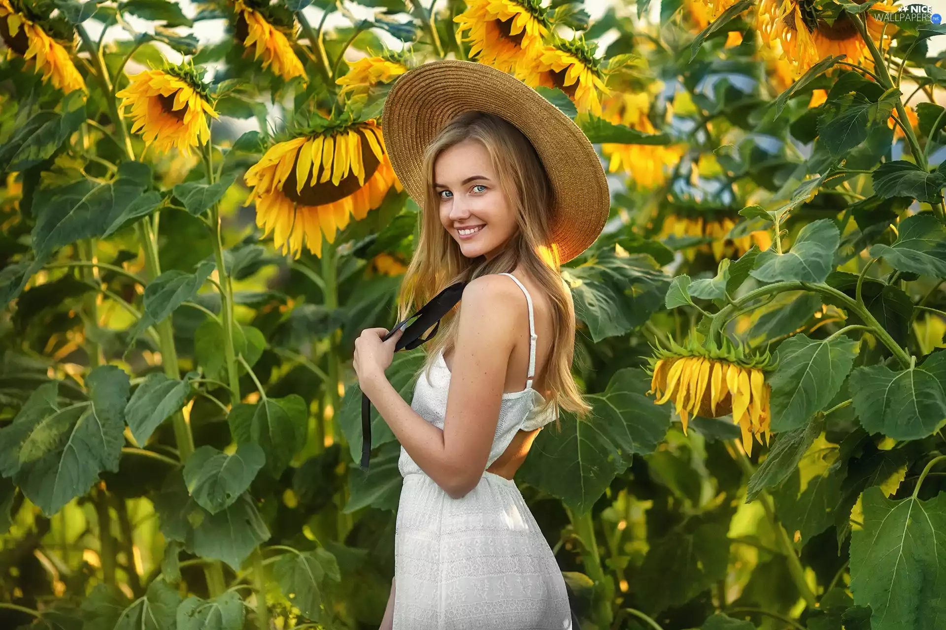 girl, Field, Smile, Hat, Nice sunflowers, Blonde