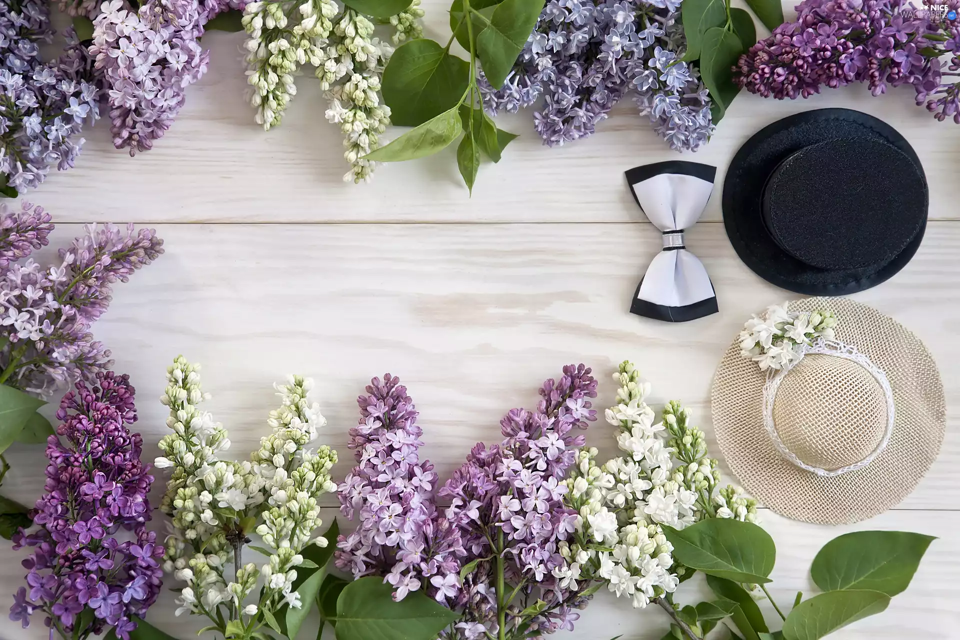 bow tie, without, hats