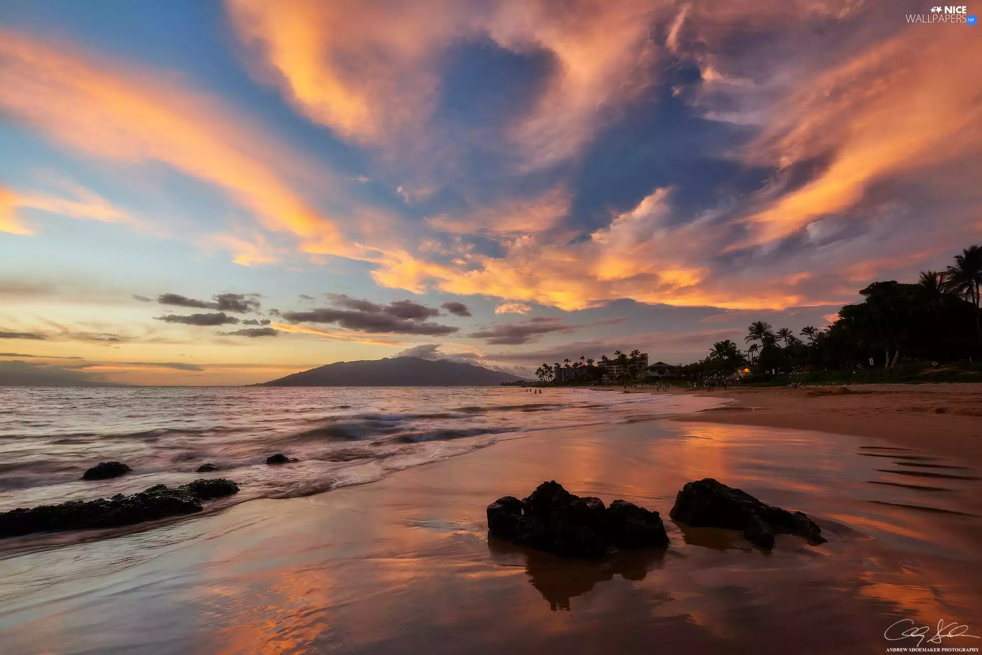 Palms, Great Sunsets, Beaches, sea, Aloha State Hawaje