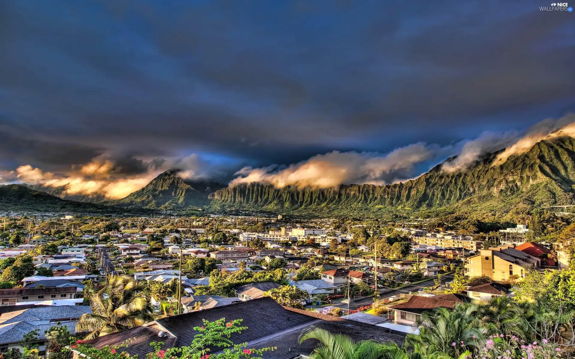 Town, Mountains, Aloha State Hawaje, Kaneohe, The United States