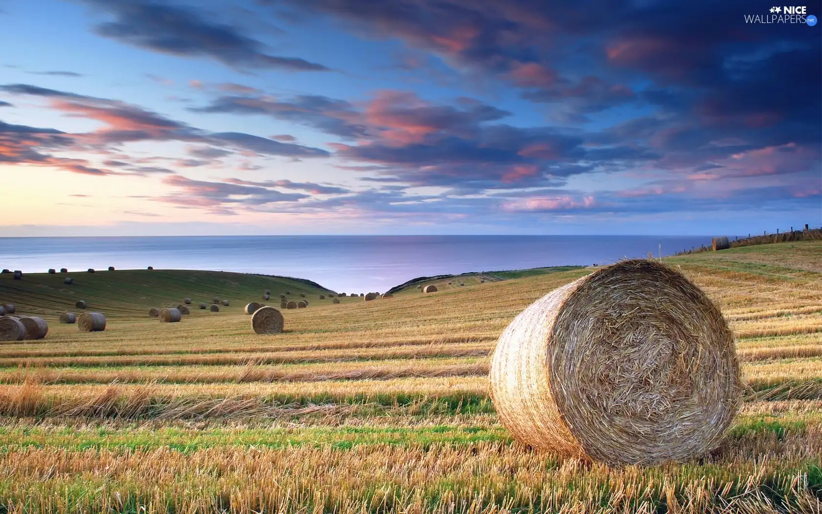 Field, sheaves, hay, clouds