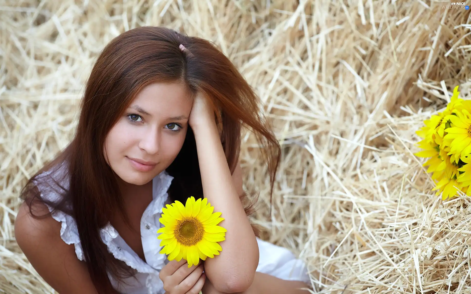 Hay, girl, Flowers