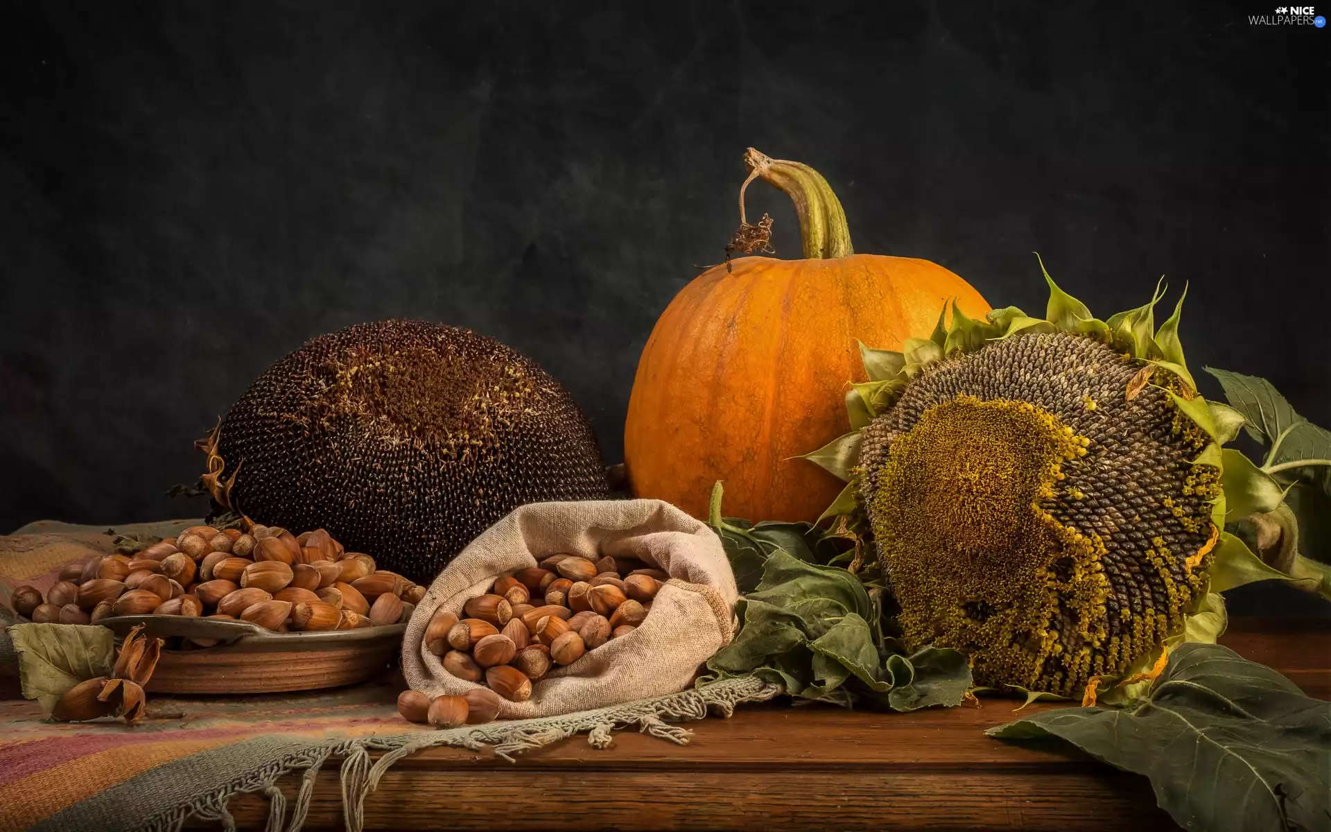 cloth, composition, Table, Hazelnuts, pumpkin, Sunflower
