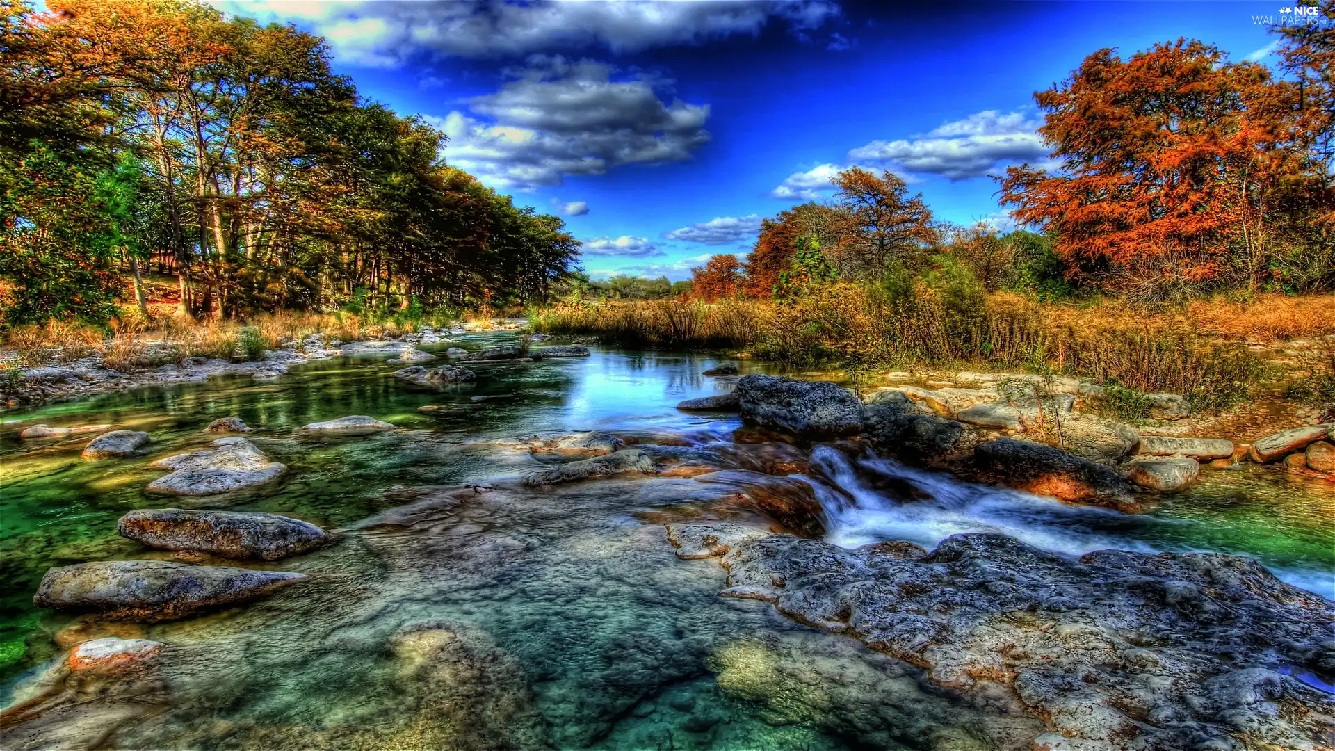 River, viewes, HDR, trees
