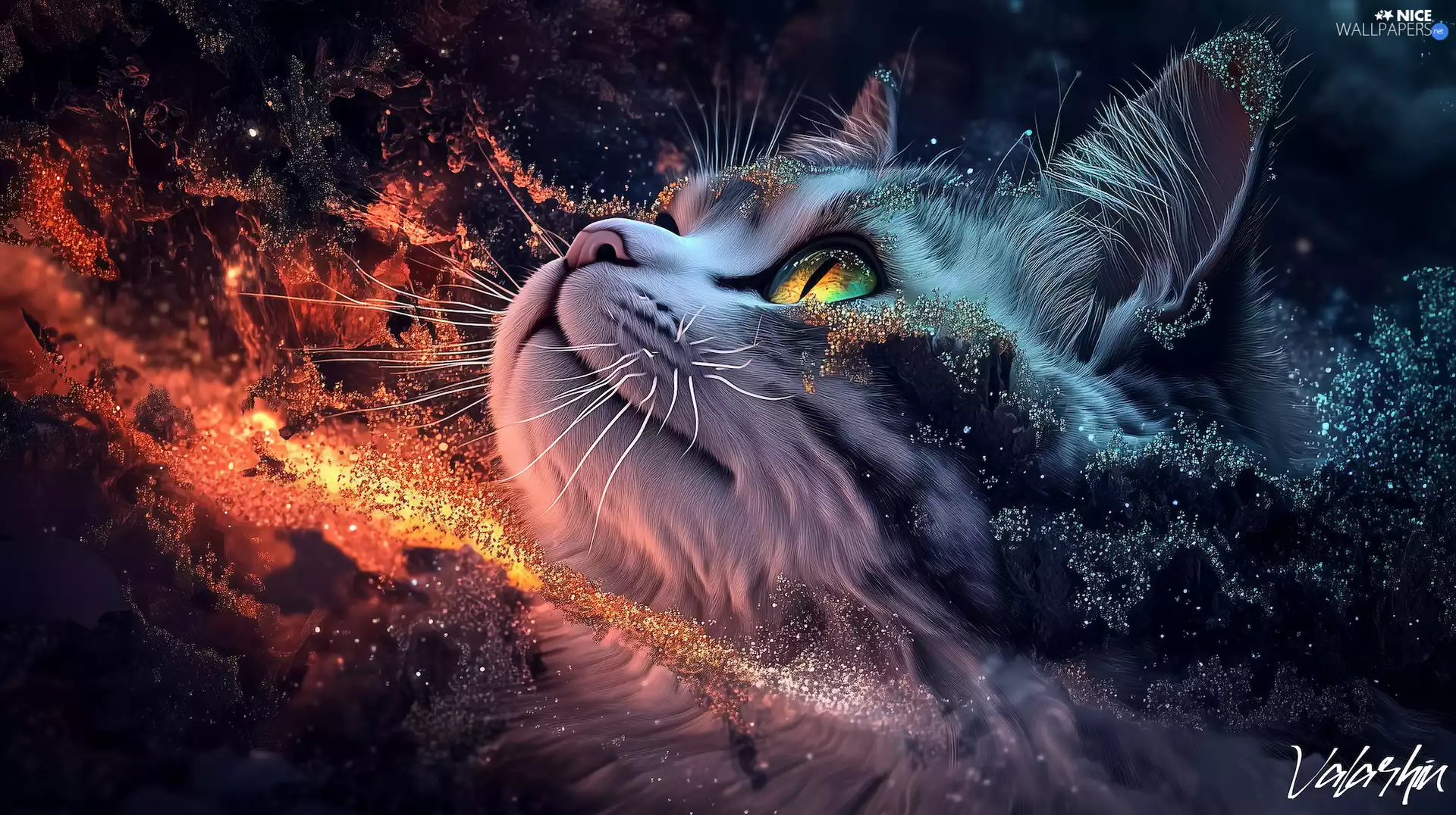 cat, dust, graphics, Head