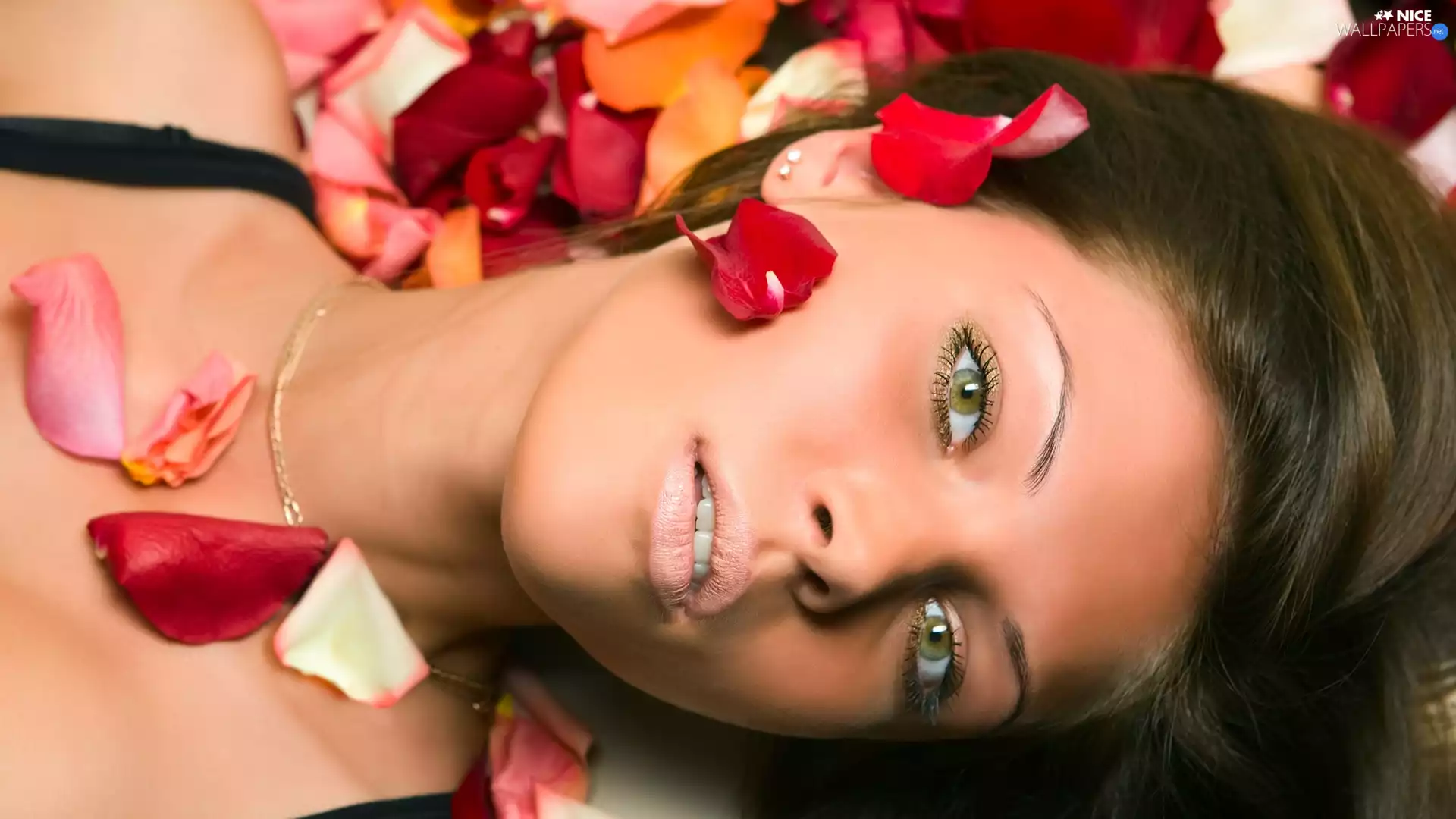 Women, flakes, rose, Head