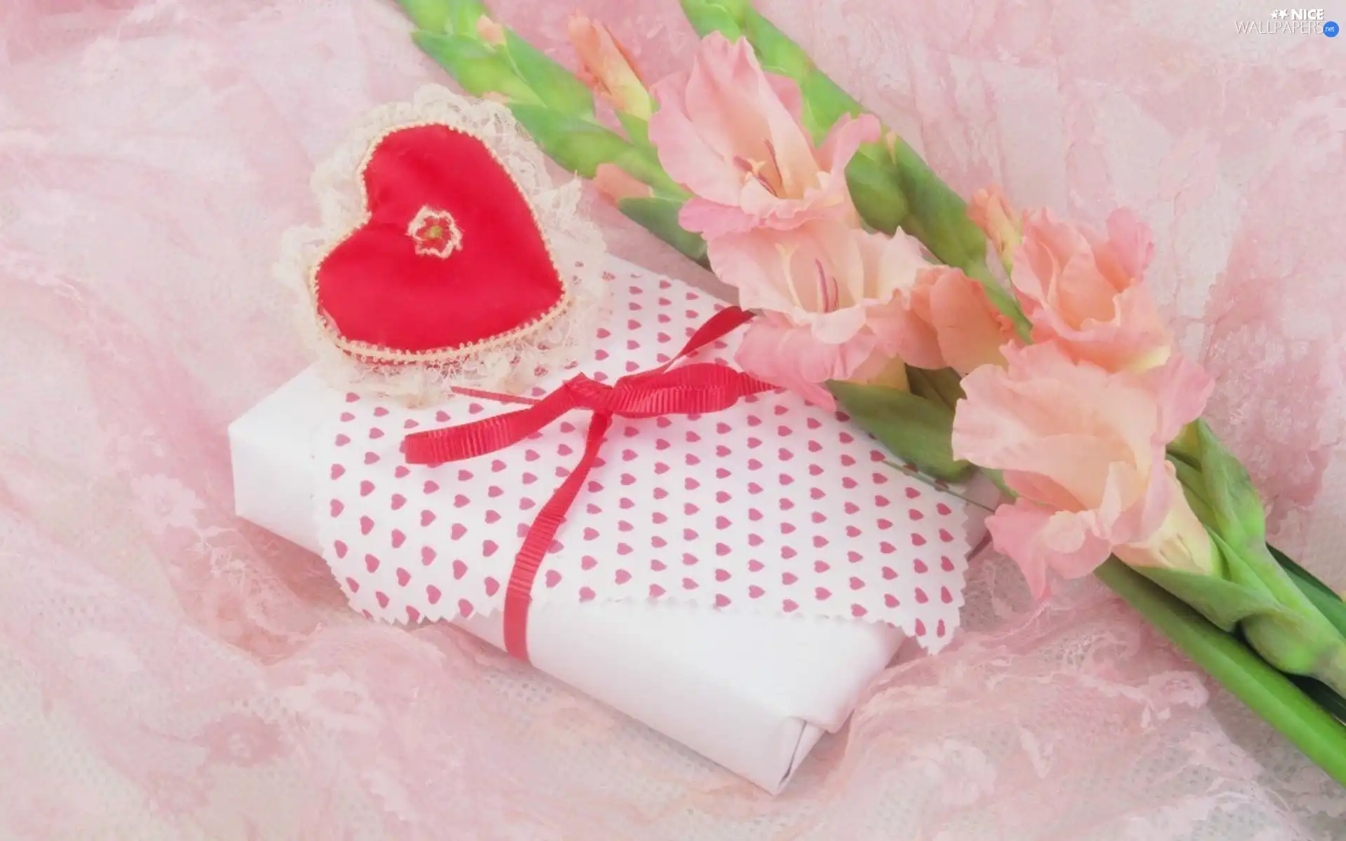 Heart, gladiolus, Present