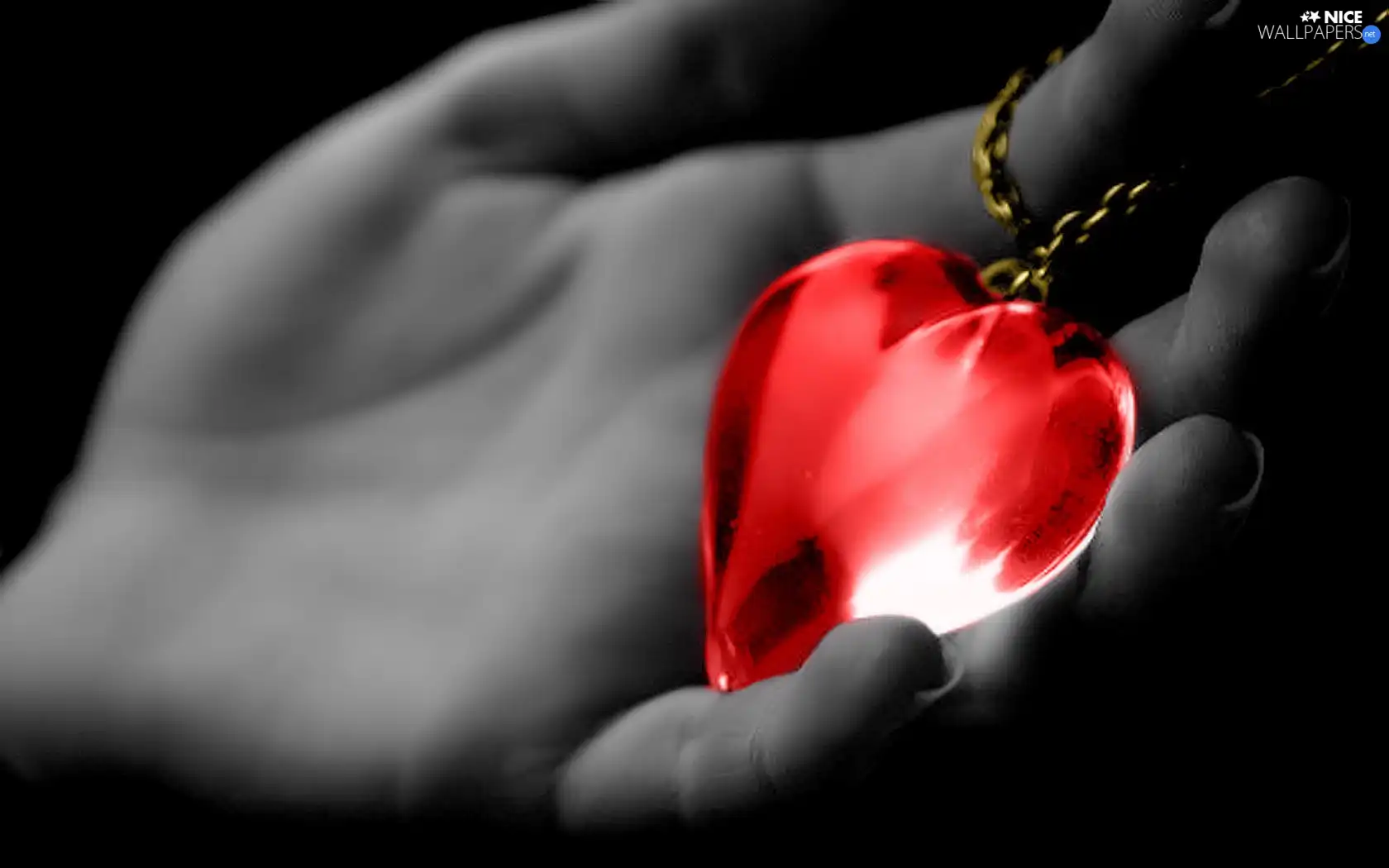 Heart, hand, Red