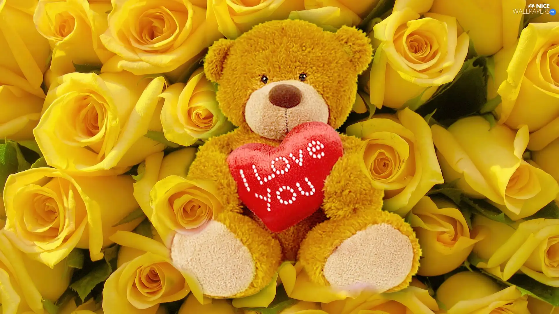 Yellow, teddy bear, Heart teddybear, roses
