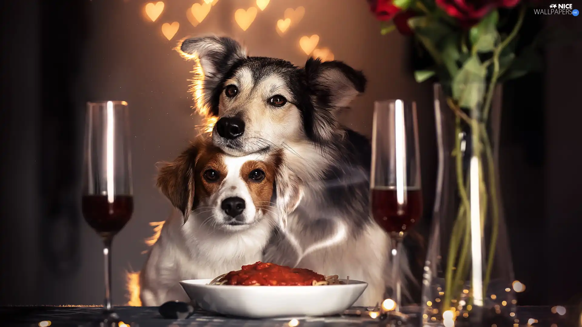 bowl, cuddled, glasses, Dogs, Two cars, food, hearts